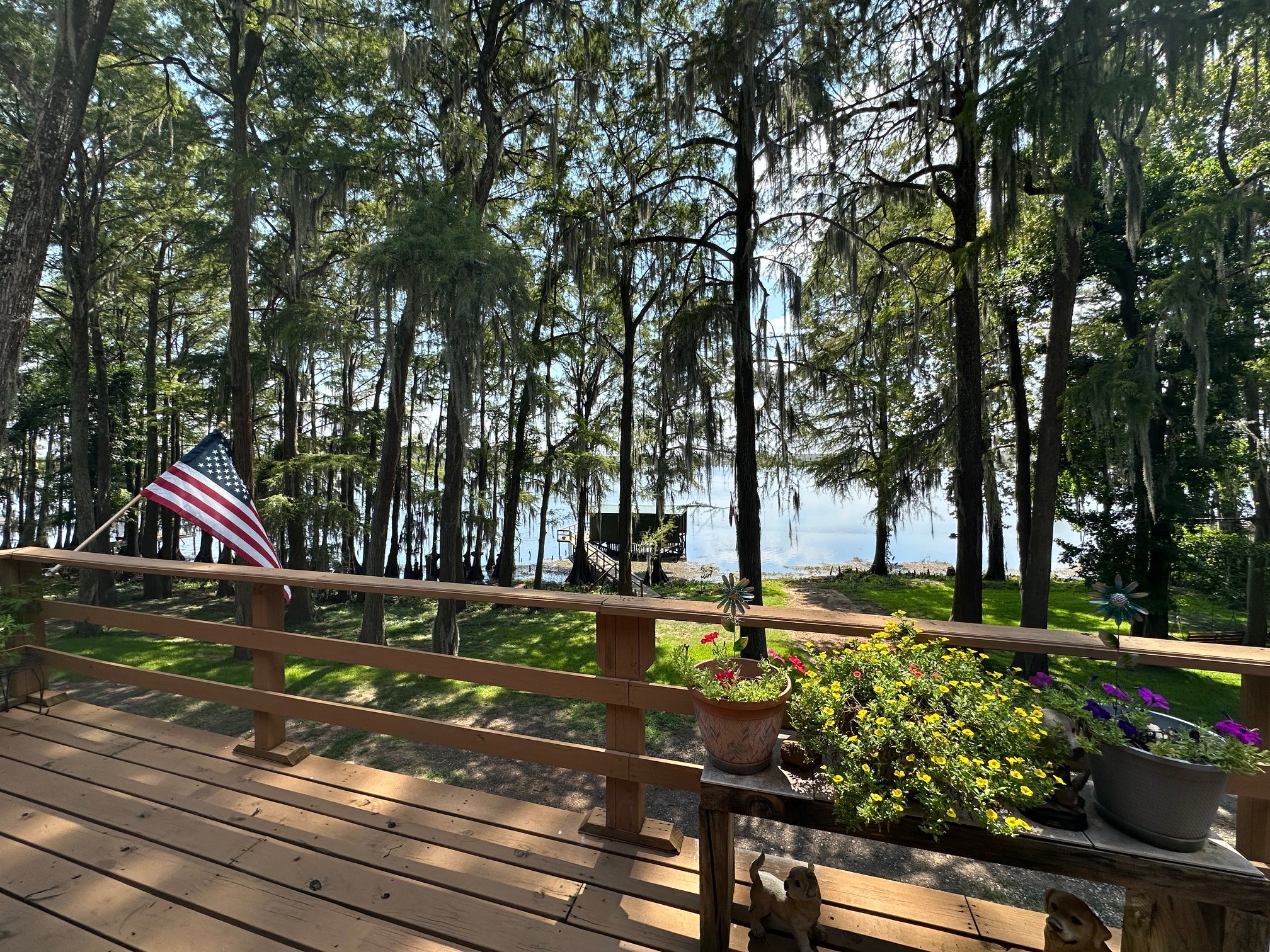 229 County Rd 3637