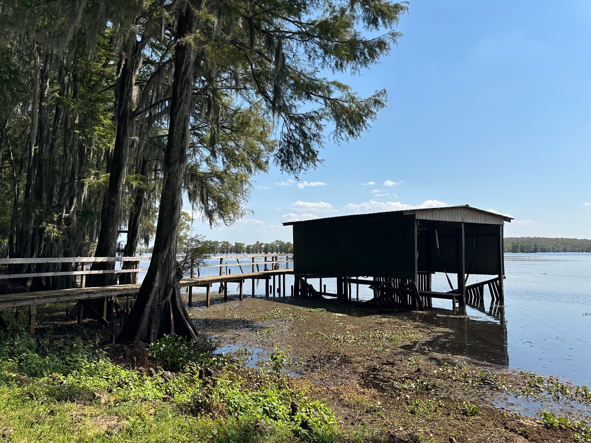 229 County Rd 3637