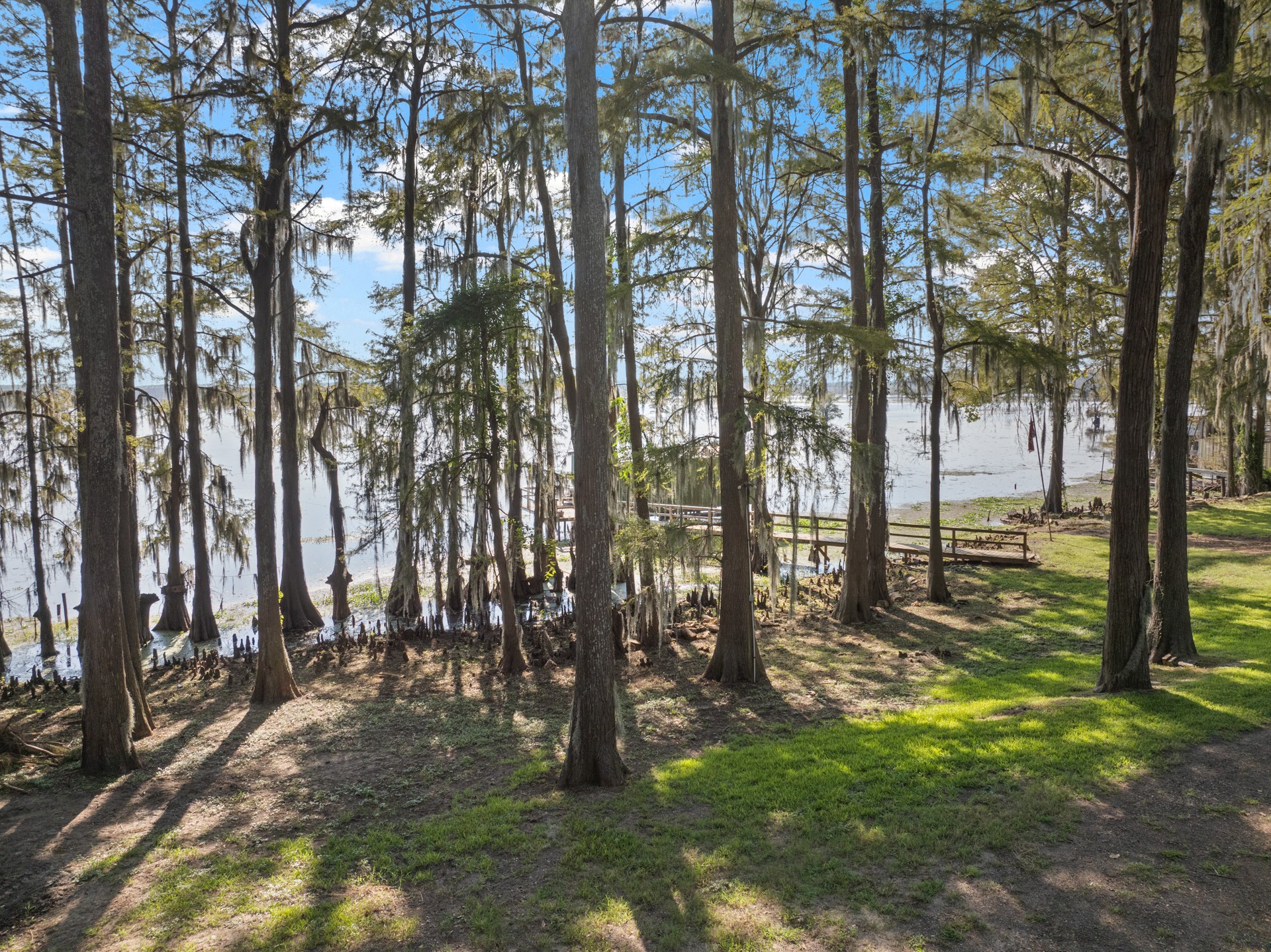 229 County Rd 3637