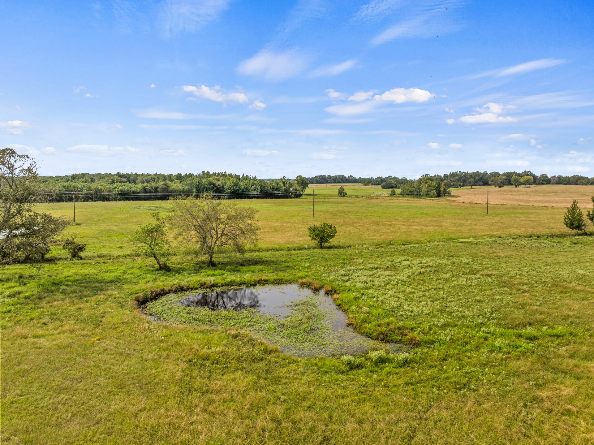 TBD County Road 4510