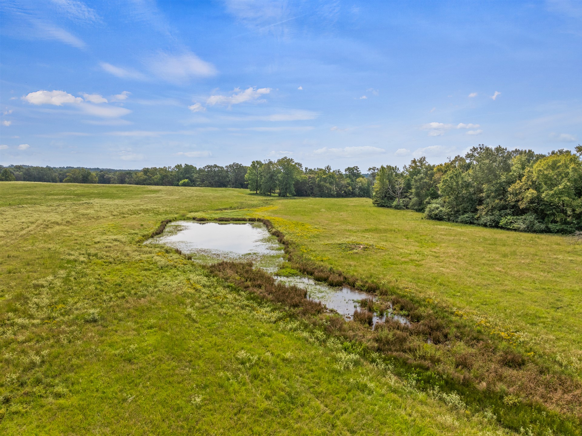 TBD County Road 4510