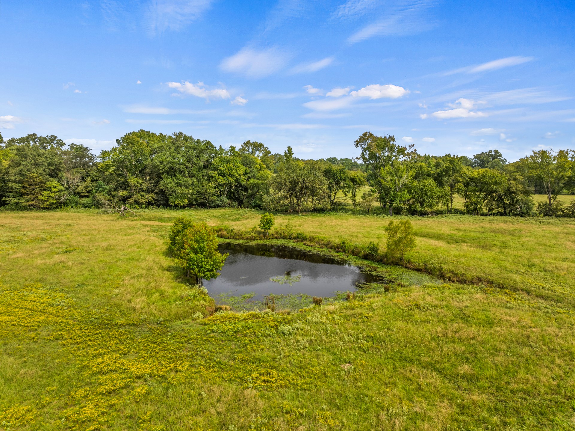TBD County Road 4510
