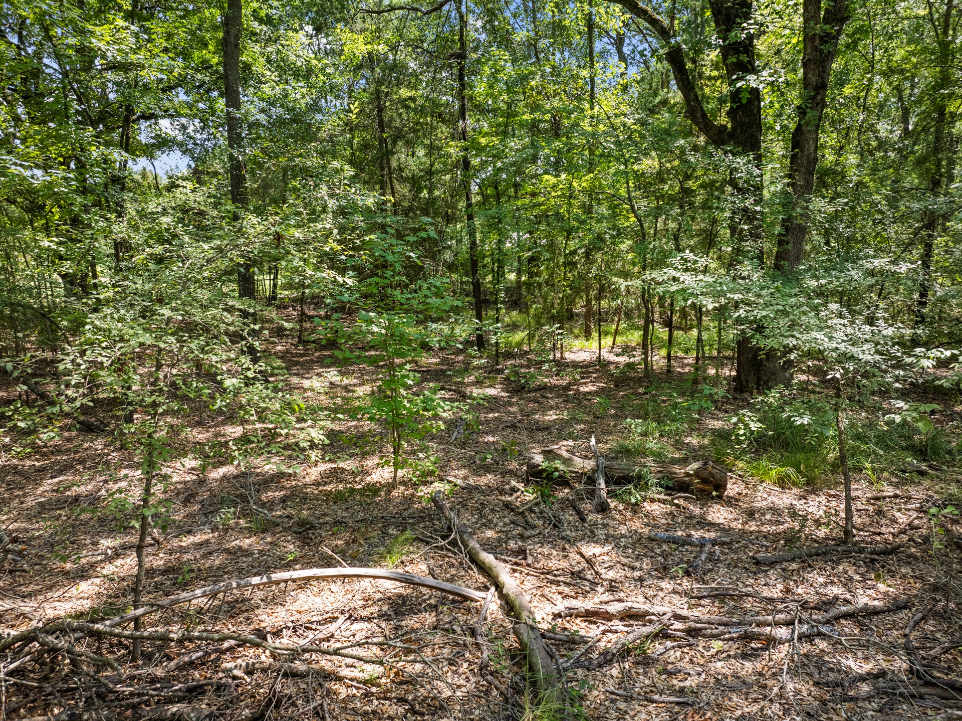 Tract 1 Highway 271
