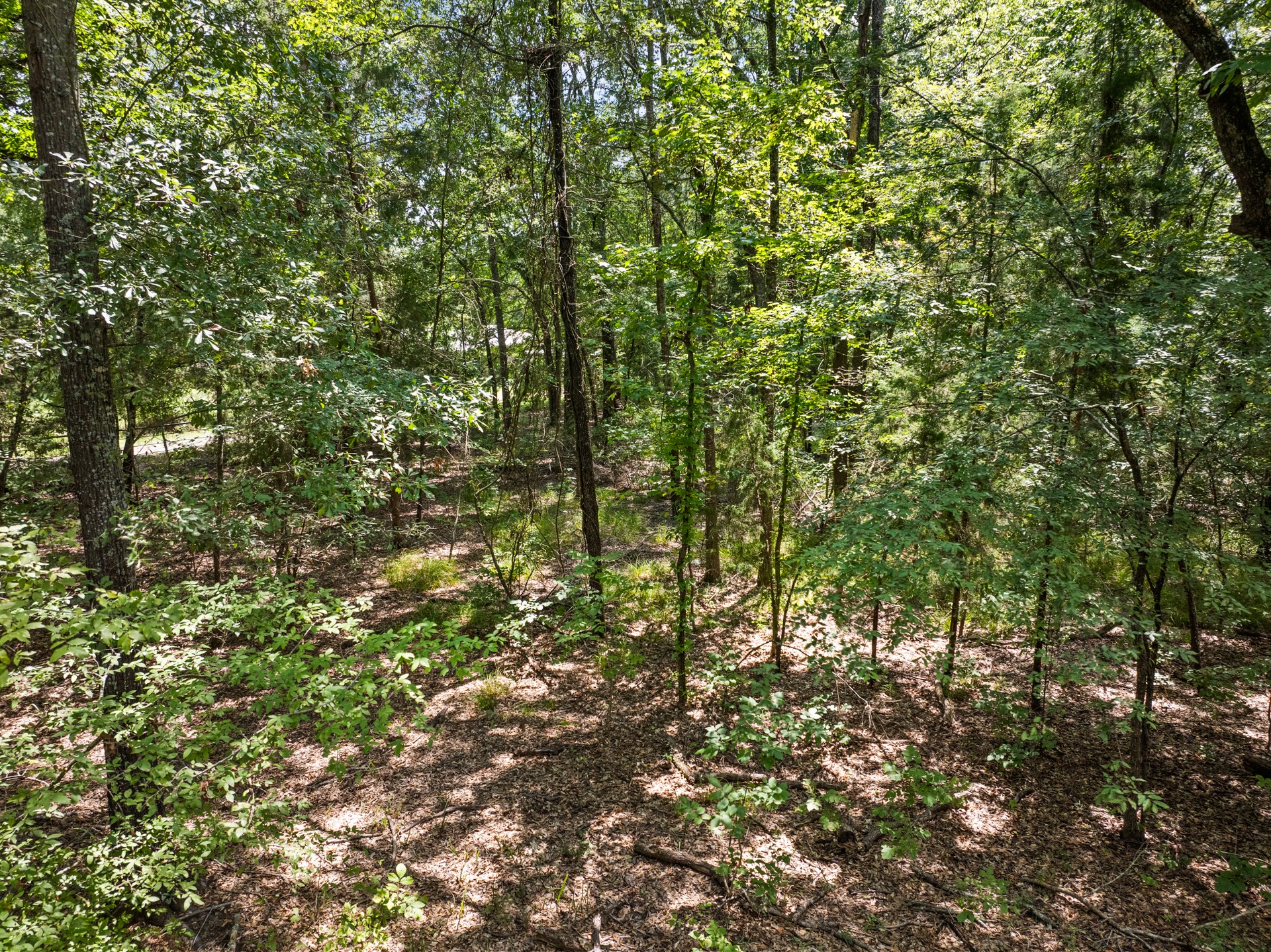 Tract 1 Highway 271