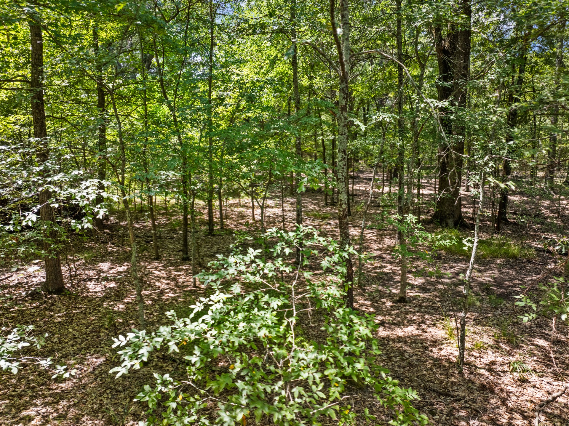 Tract 1 Highway 271