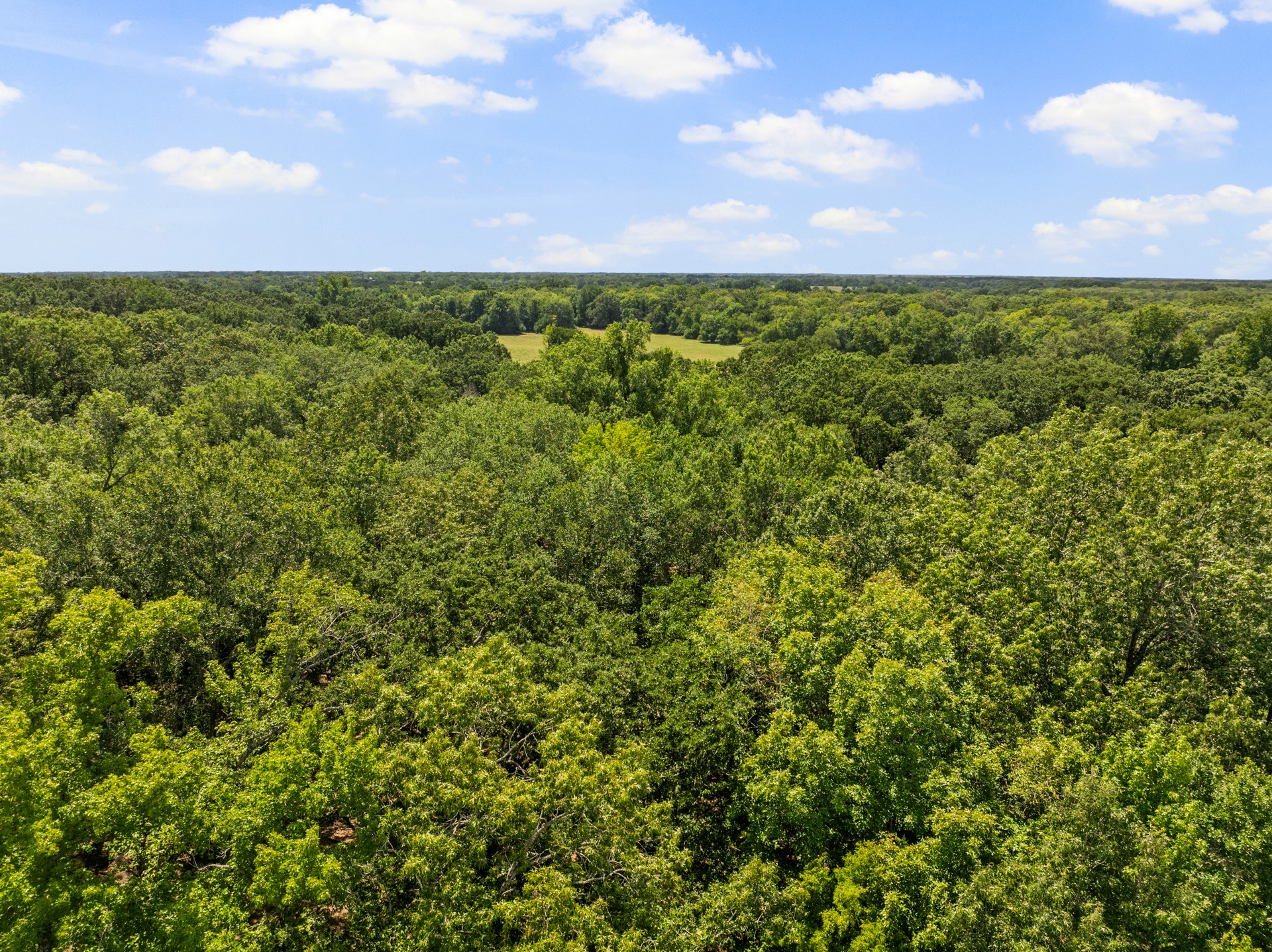 Tract 1 Highway 271