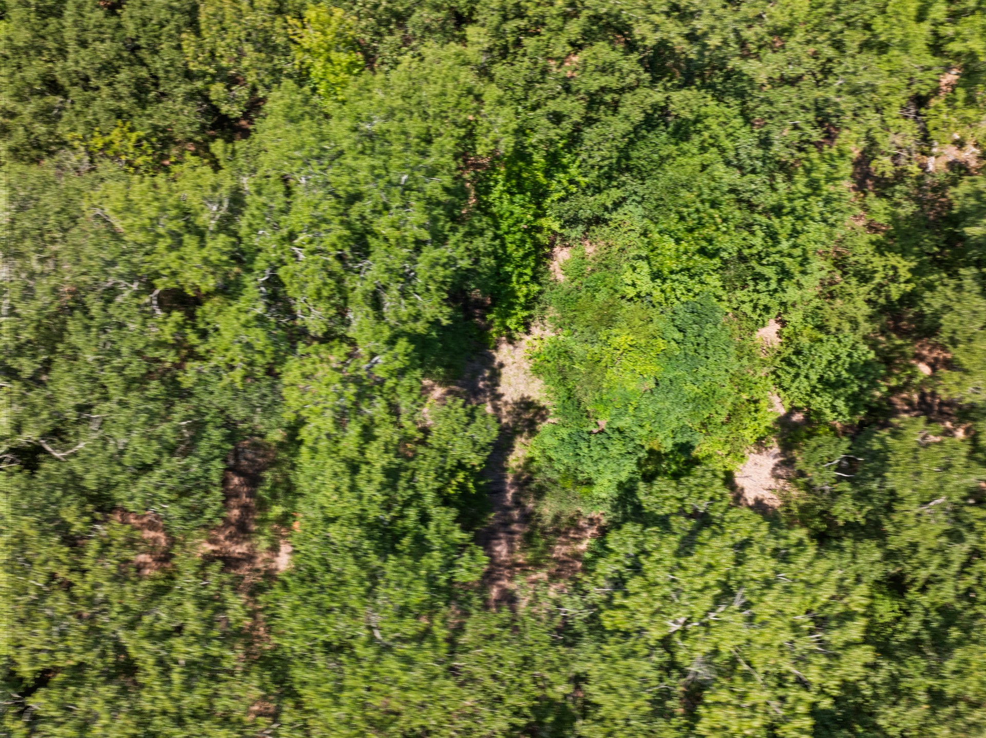 Tract 1 Highway 271