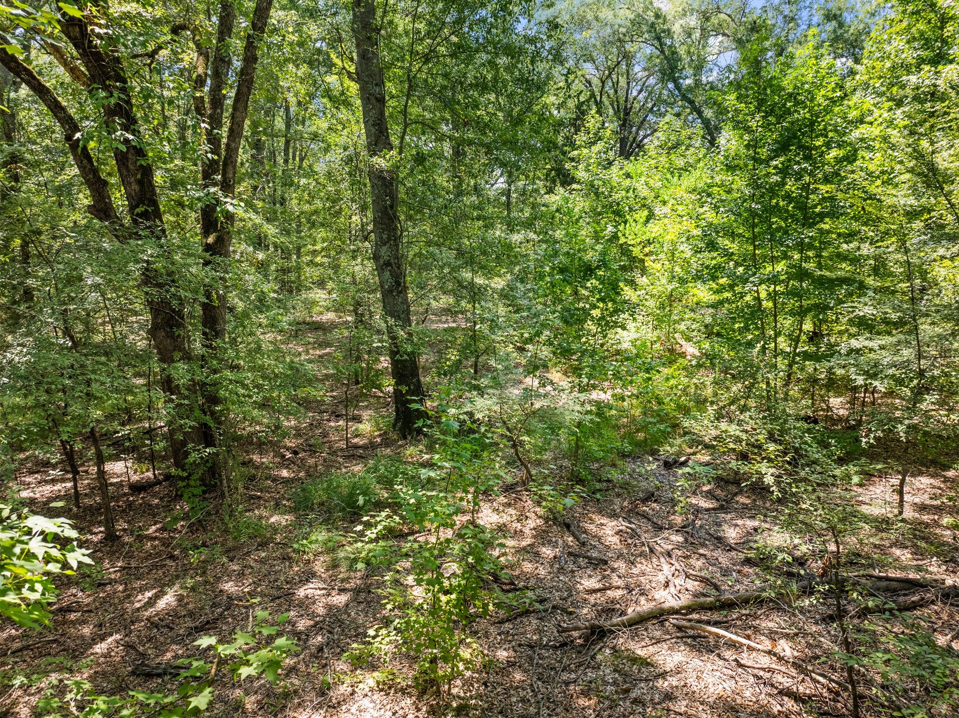 Tract 1 Highway 271