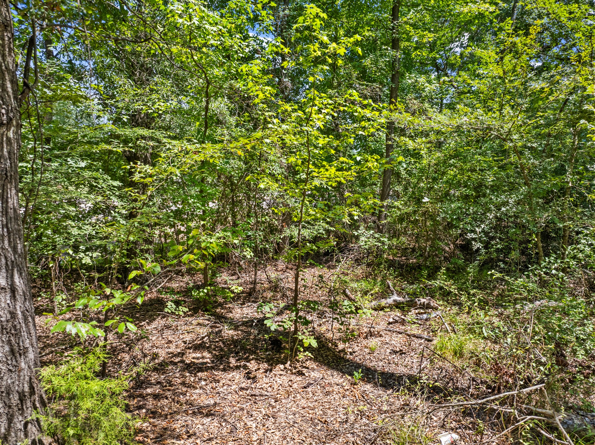 Tract 1 Highway 271