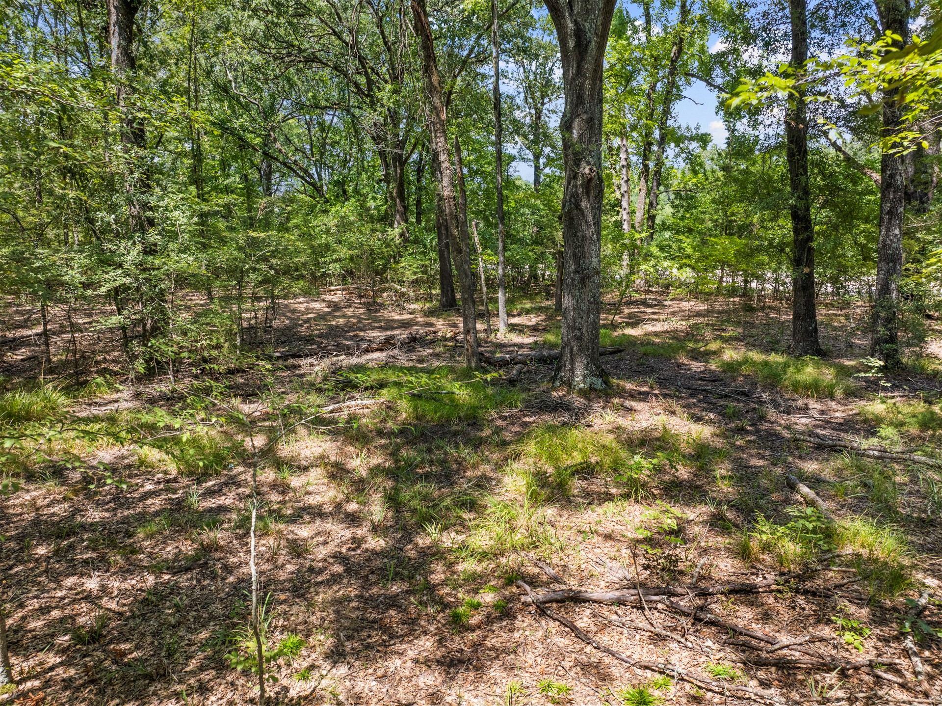 Tract 1 Highway 271