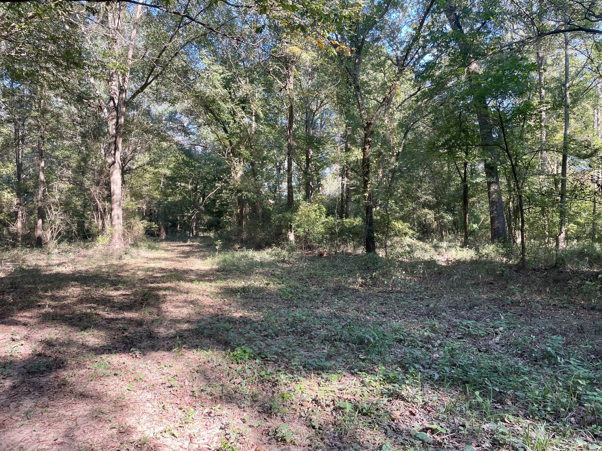 000 Mink Road