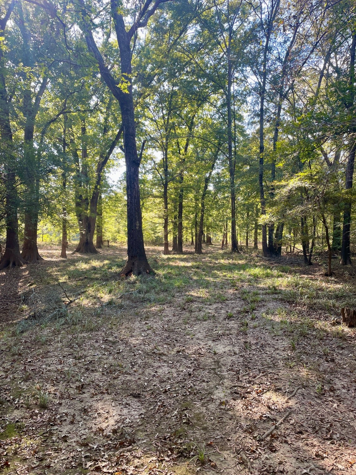 000 Mink Road