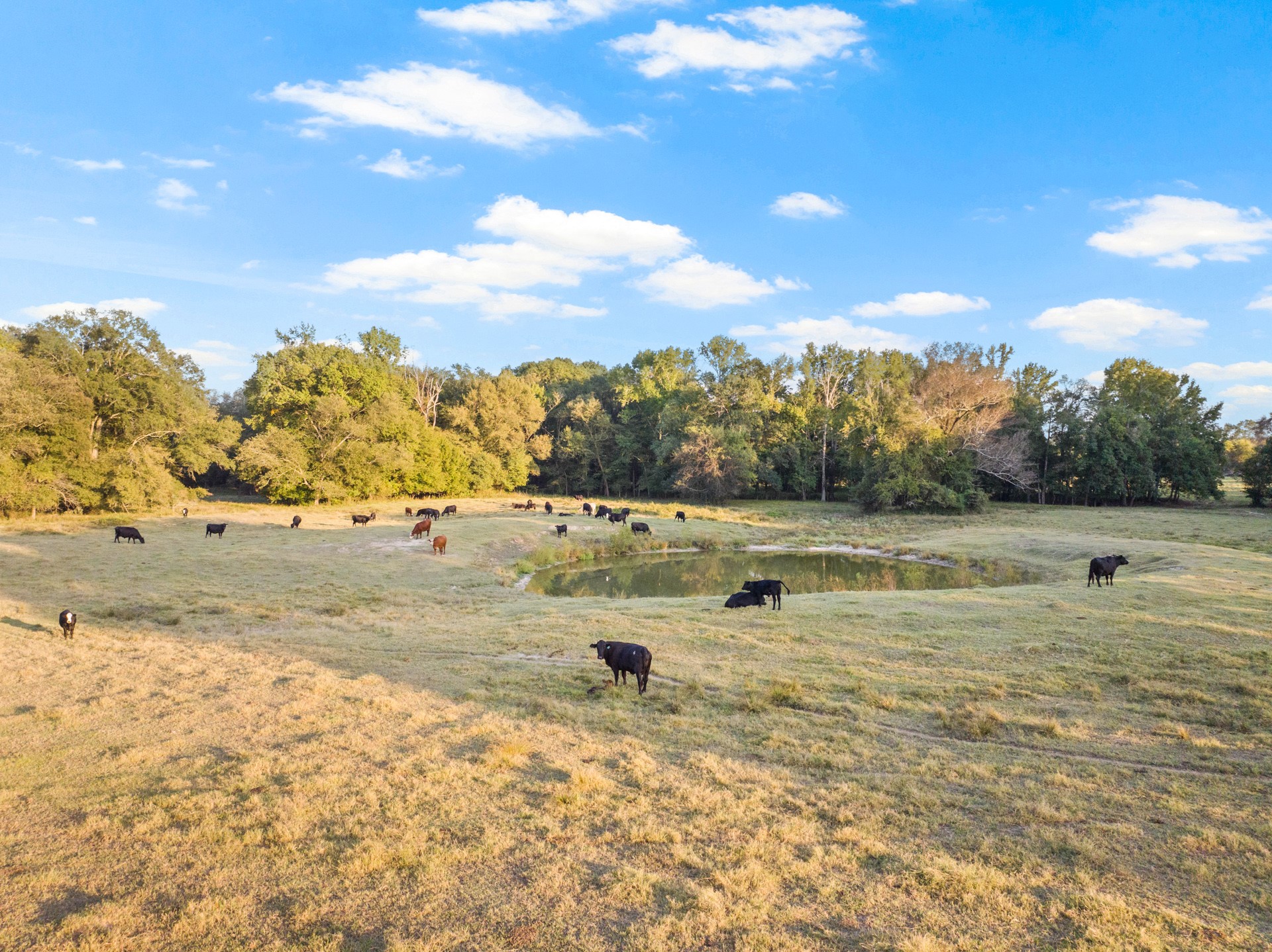 1663 County Road 1405