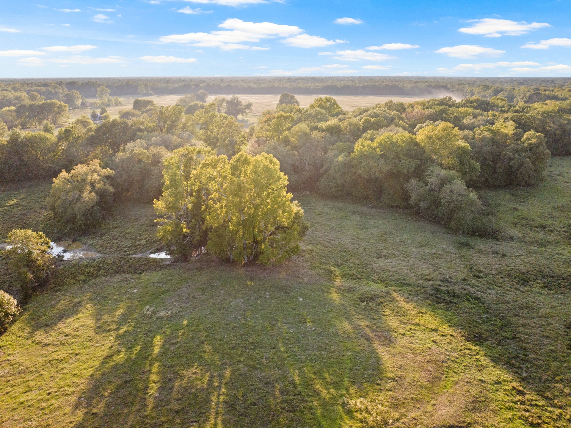 1663 County Road 1405