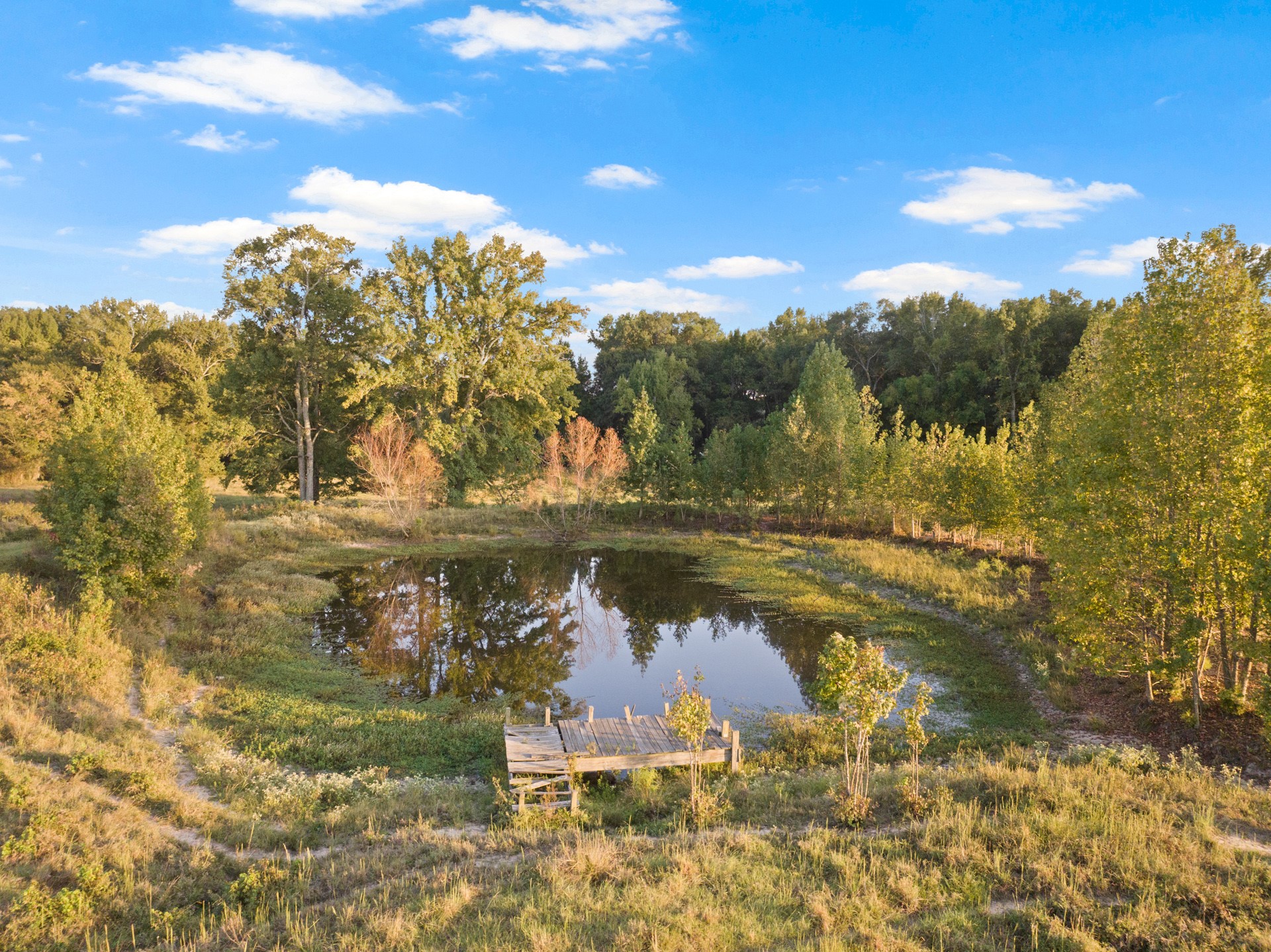 1663 County Road 1405