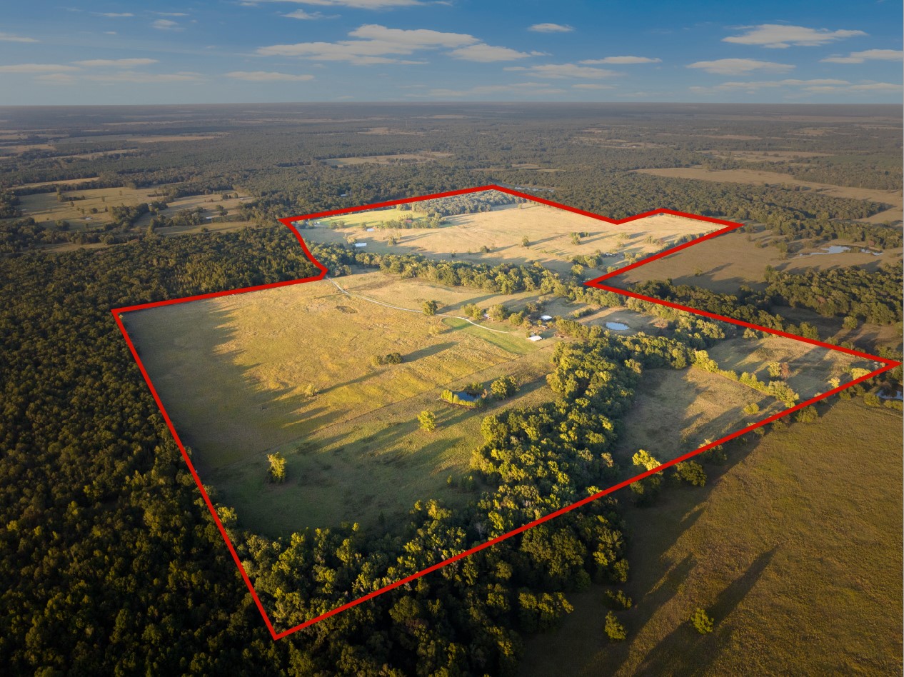 1663 County Road 1405