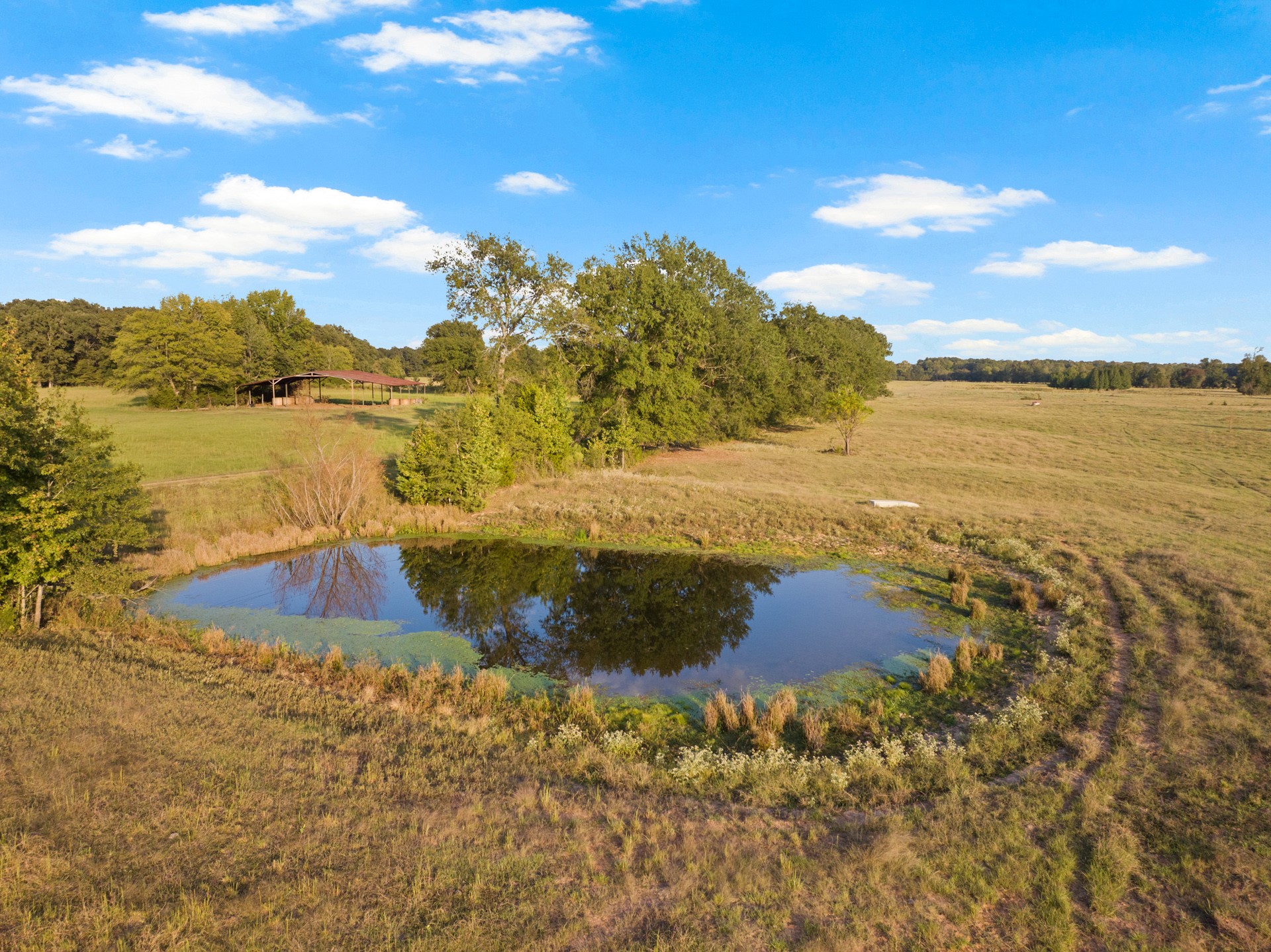 1663 County Road 1405