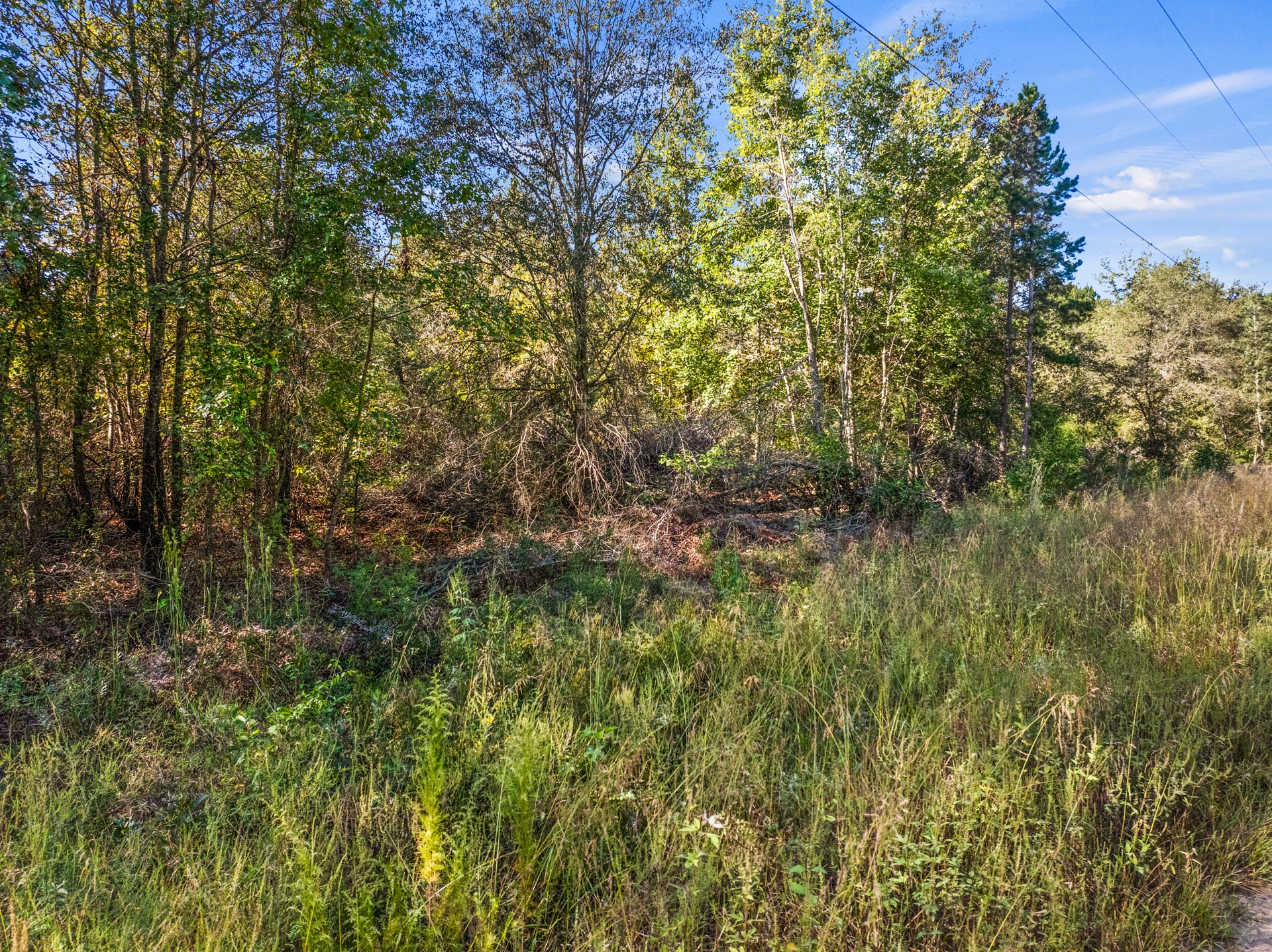 TBD County Road 3322