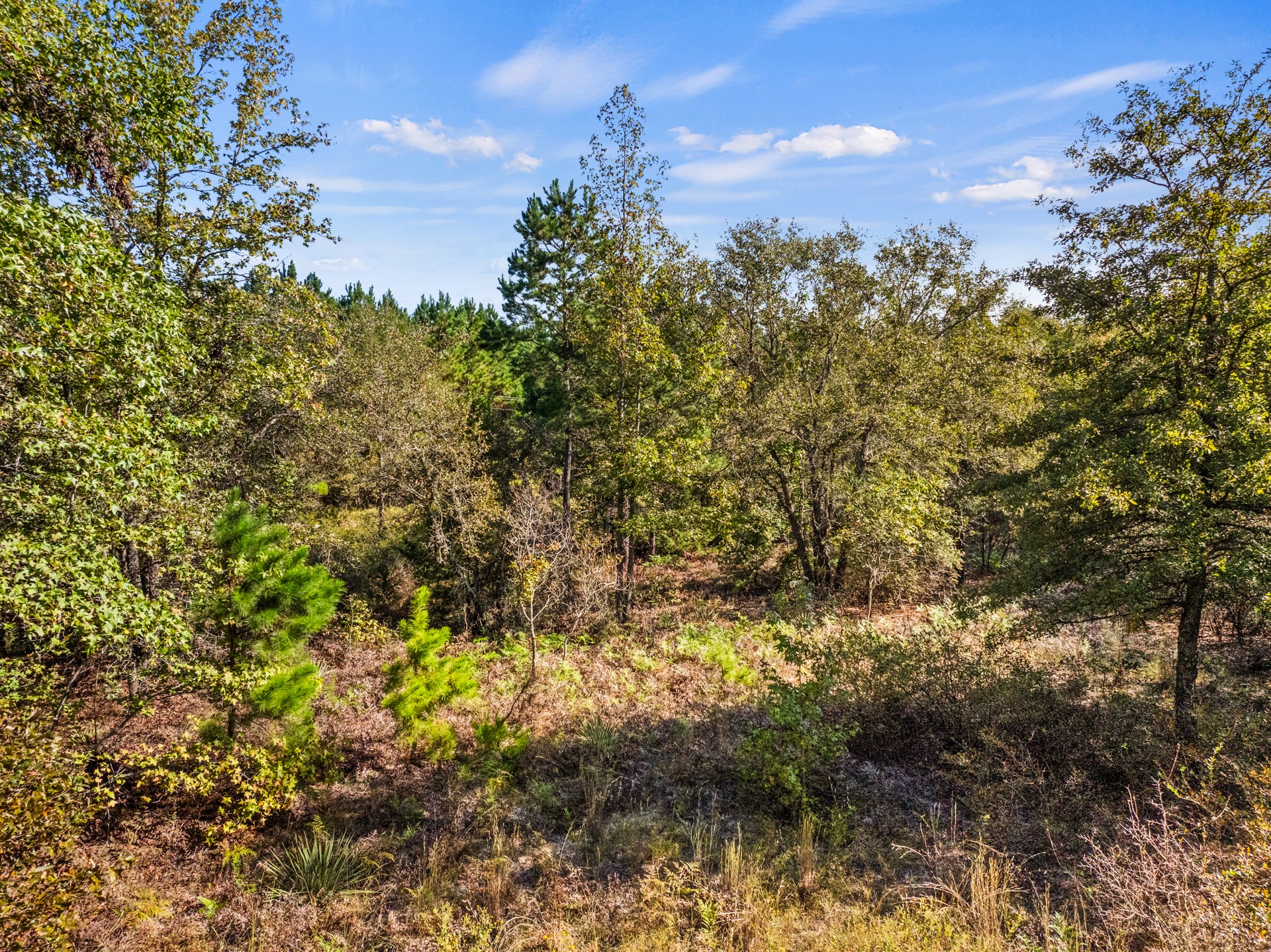 TBD County Road 3322