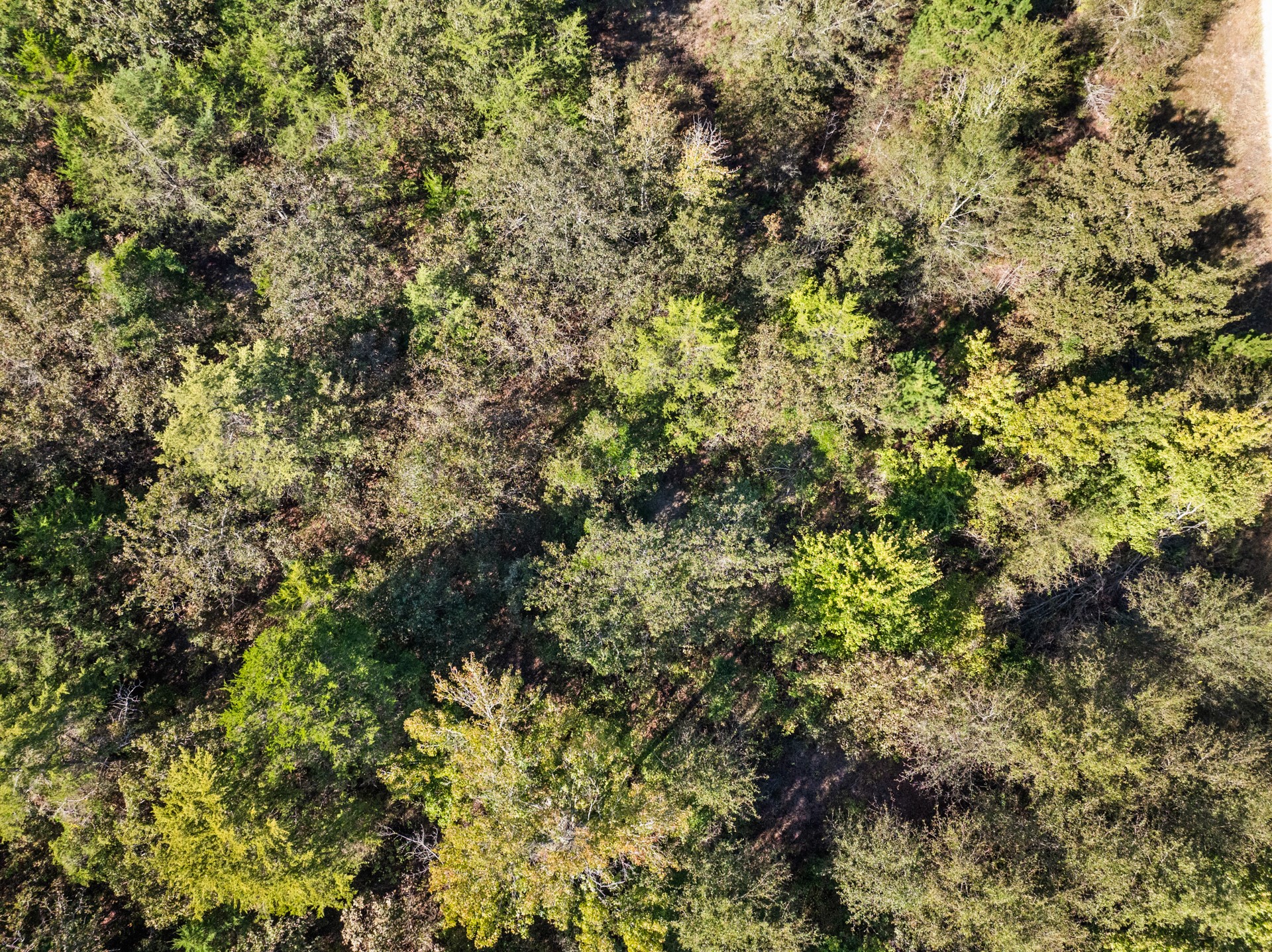 TBD County Road 3322