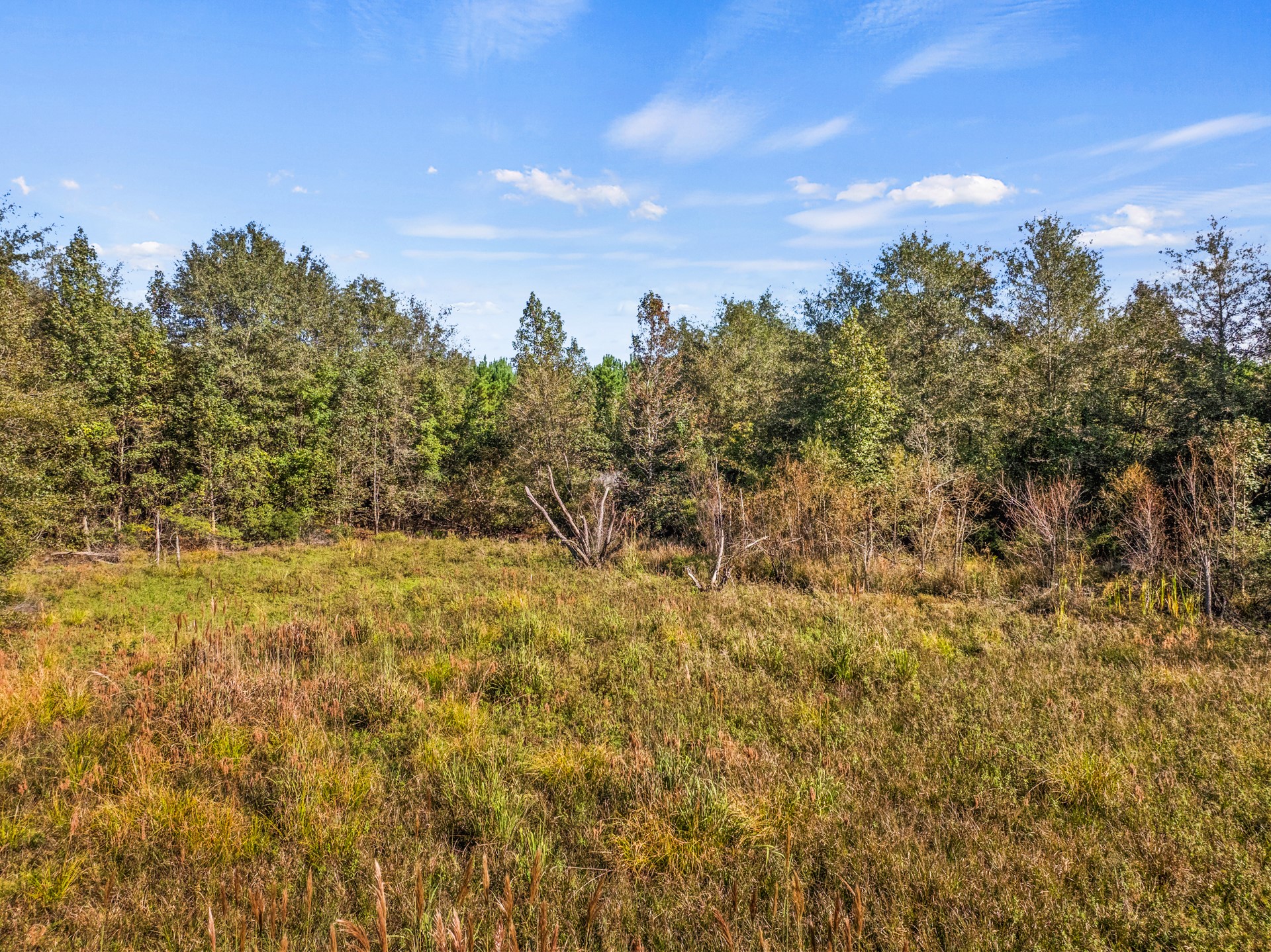 TBD County Road 3322