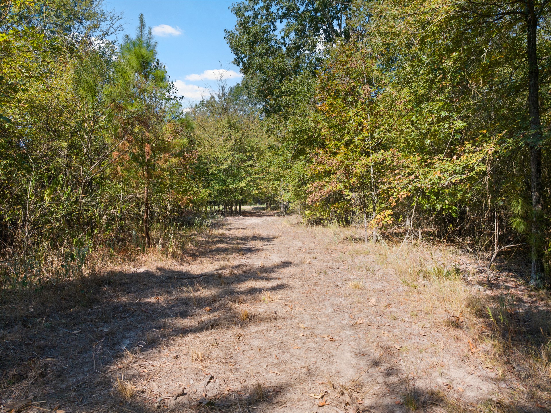 3465 County Road 1360