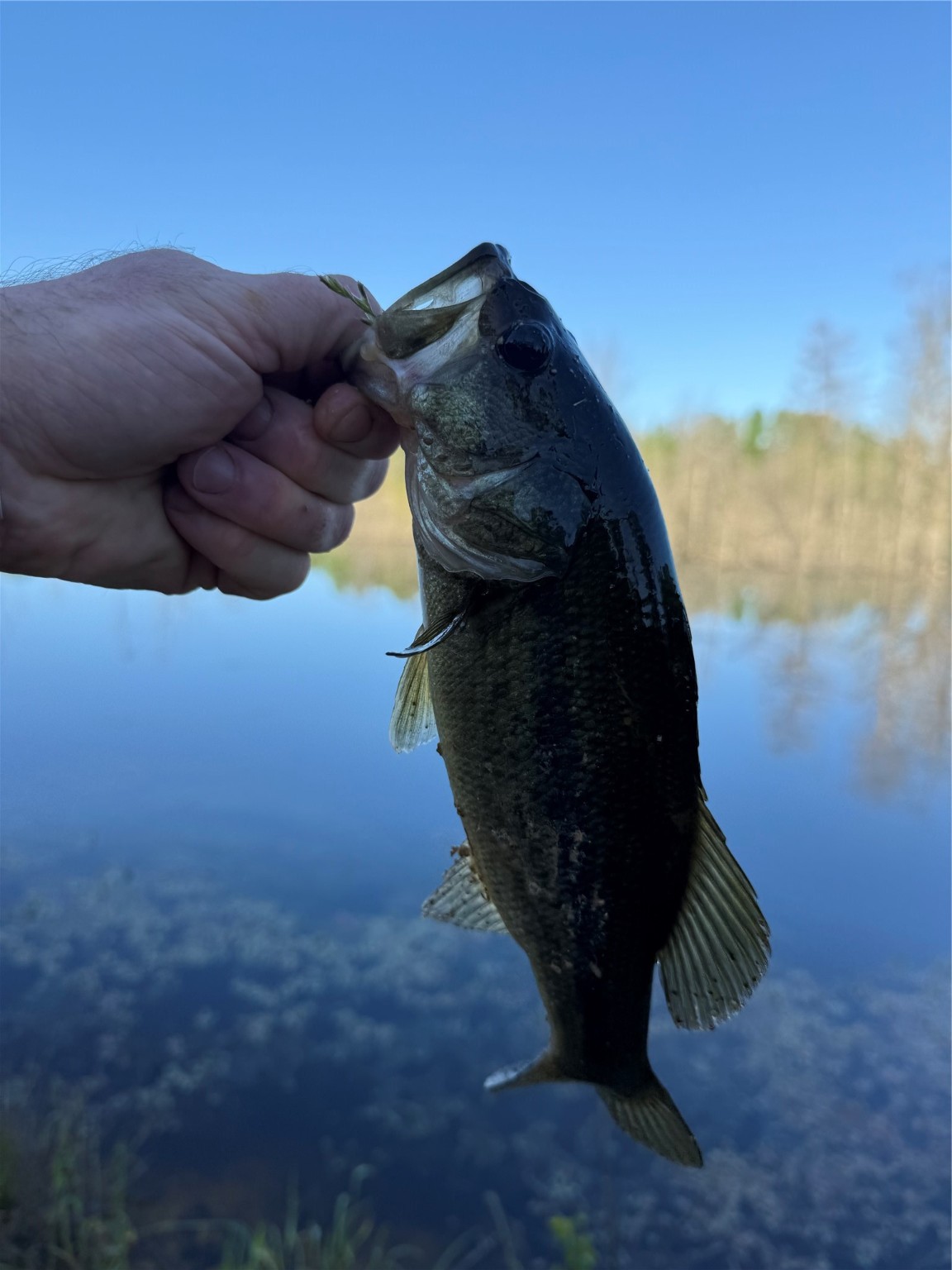 3465 County Road 1360