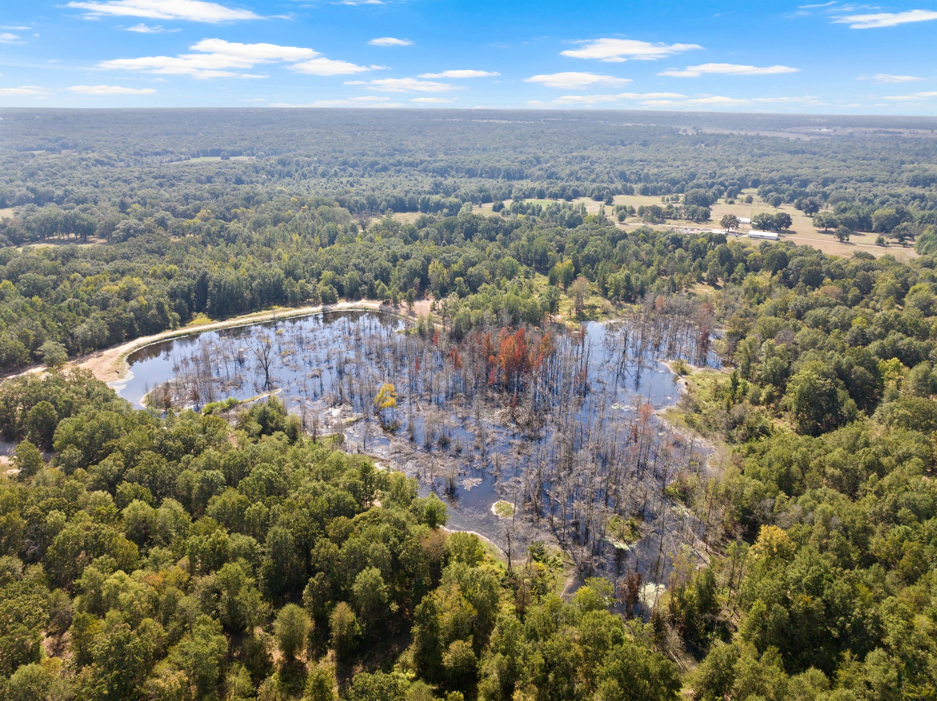 3465 County Road 1360