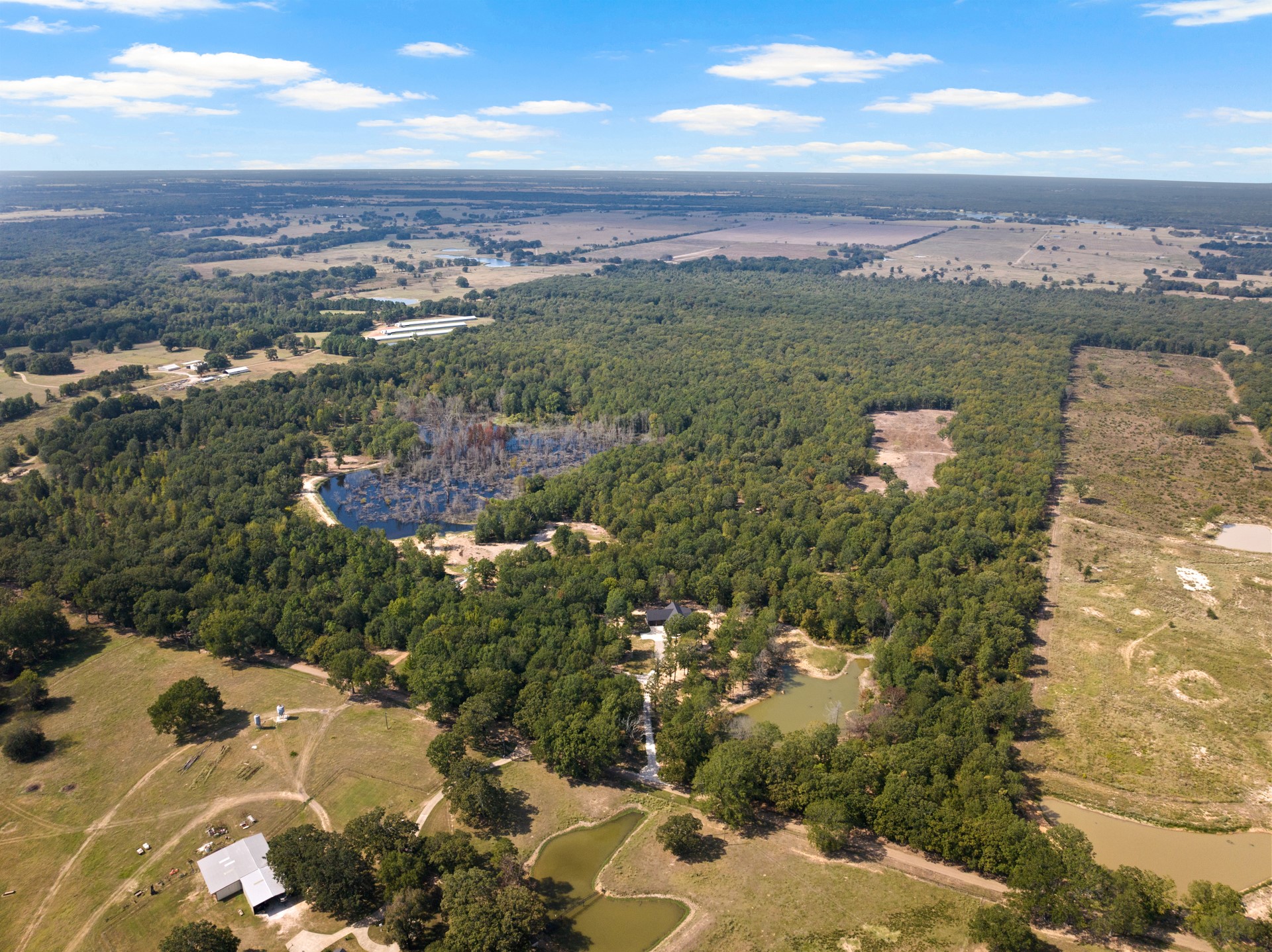 3465 County Road 1360