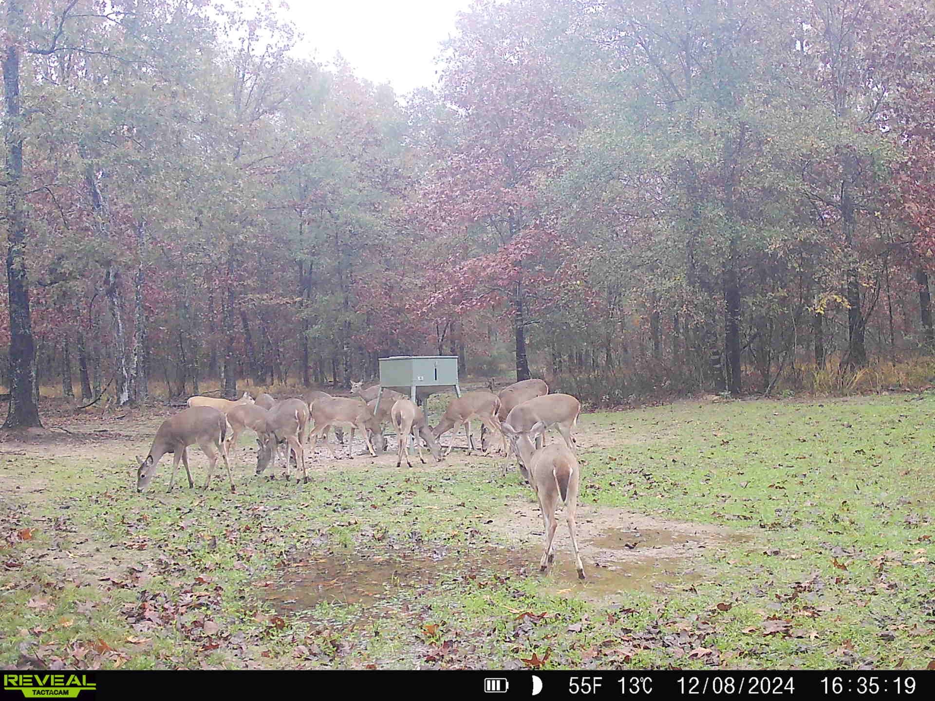 3465 County Road 1360