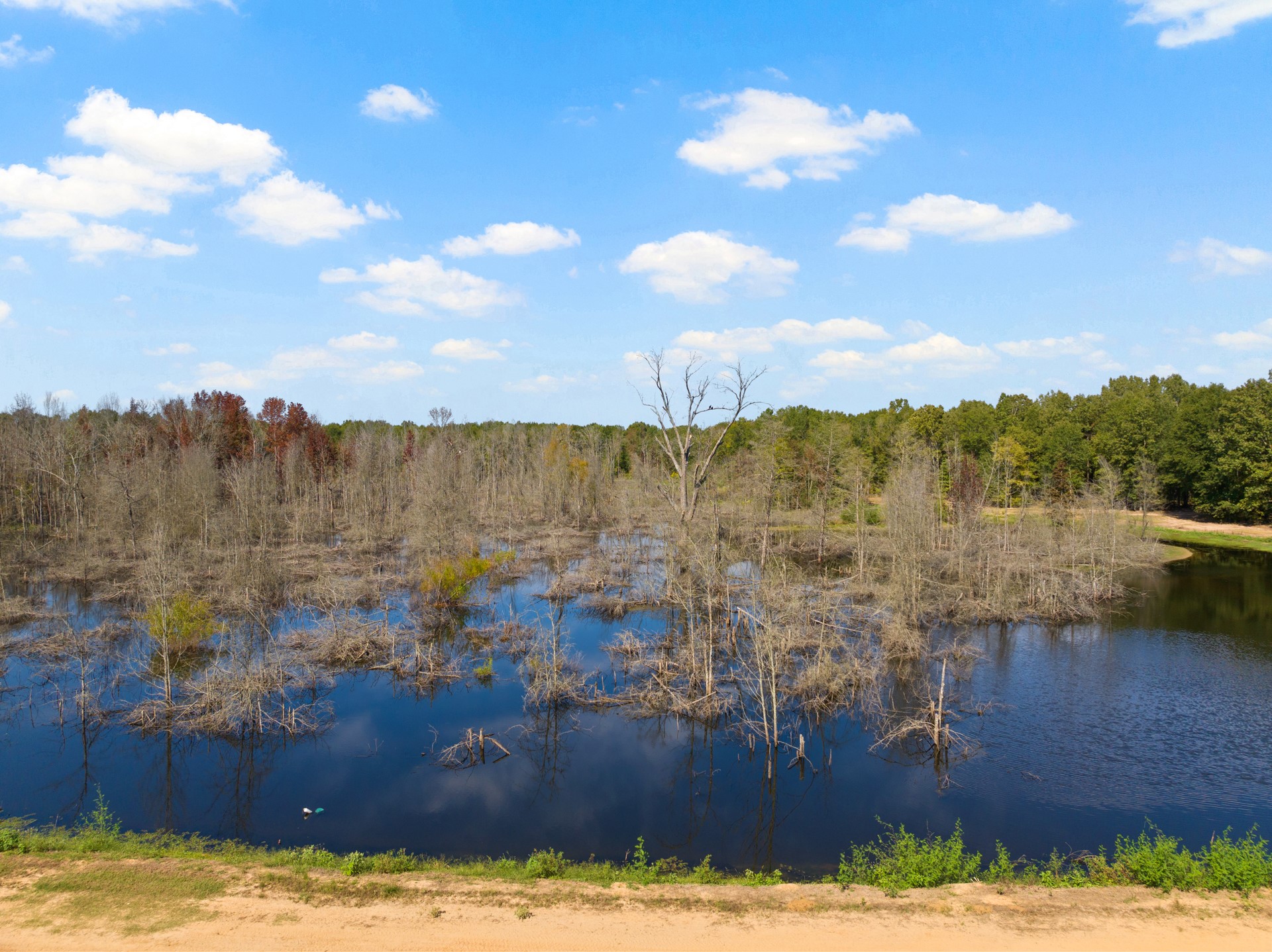 3465 County Road 1360