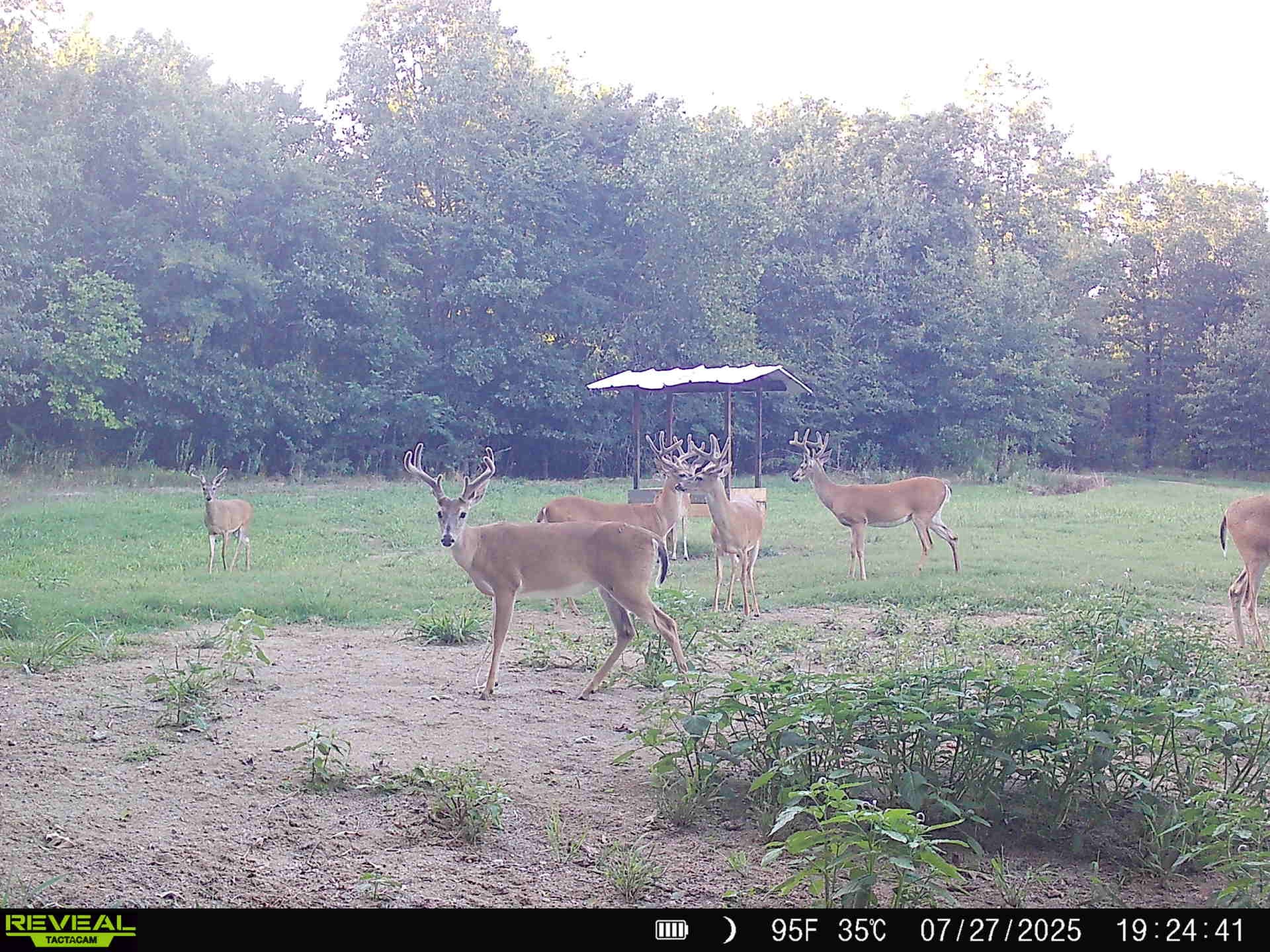 3465 County Road 1360