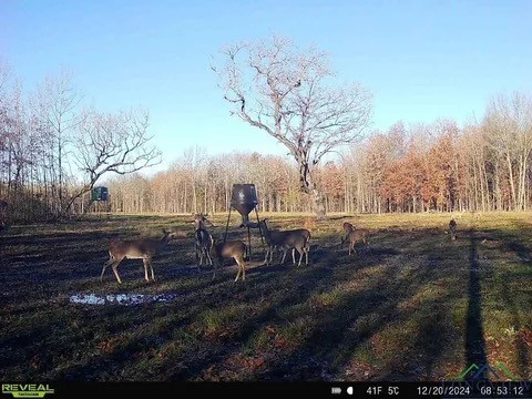 3465 County Road 1360