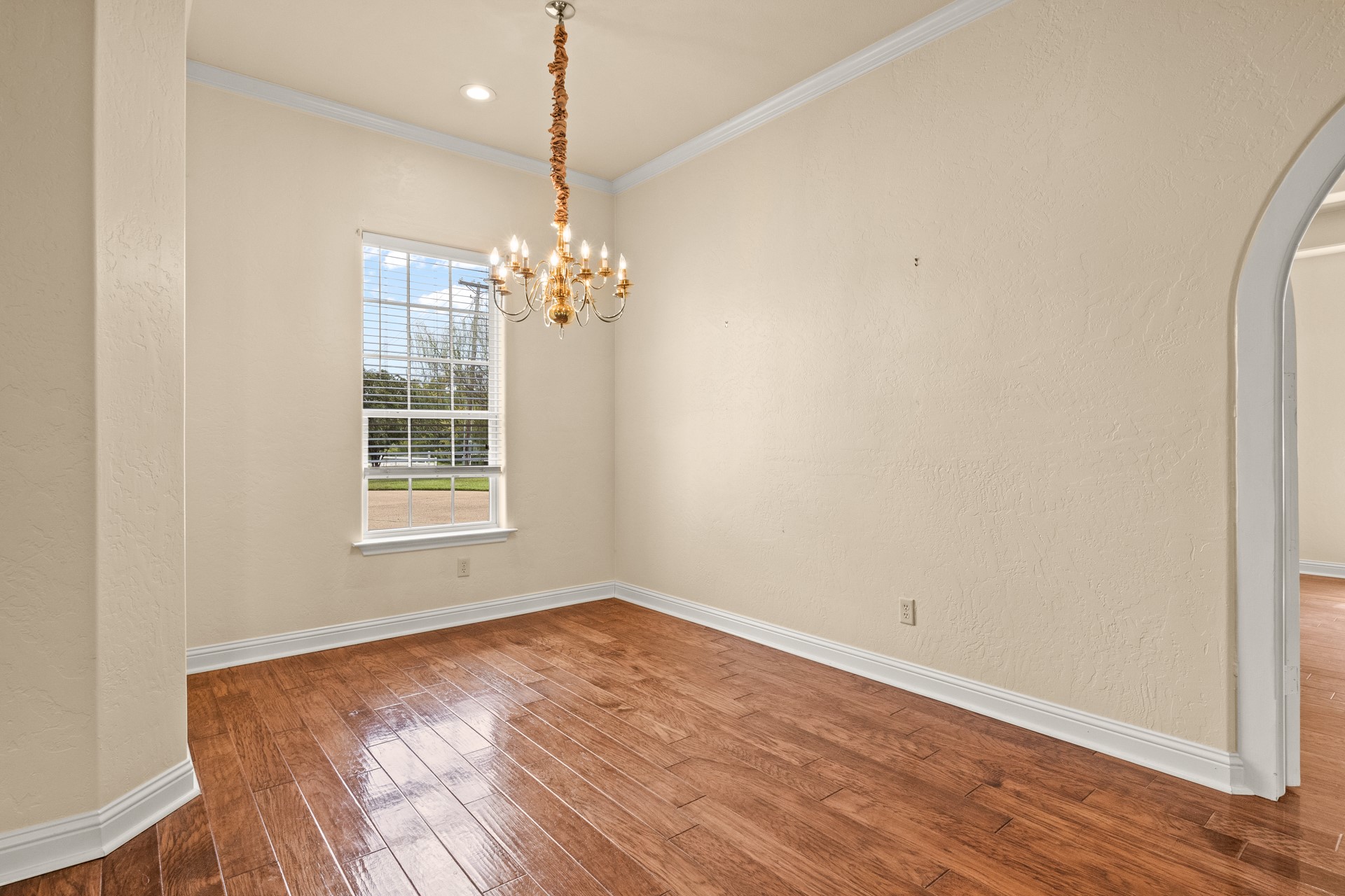 15 W Elmwood Drive