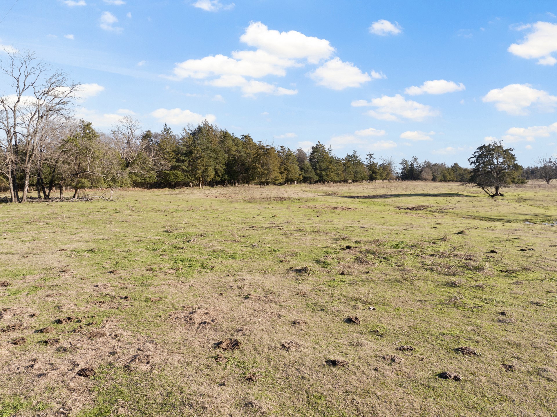 TBD County Road 1468