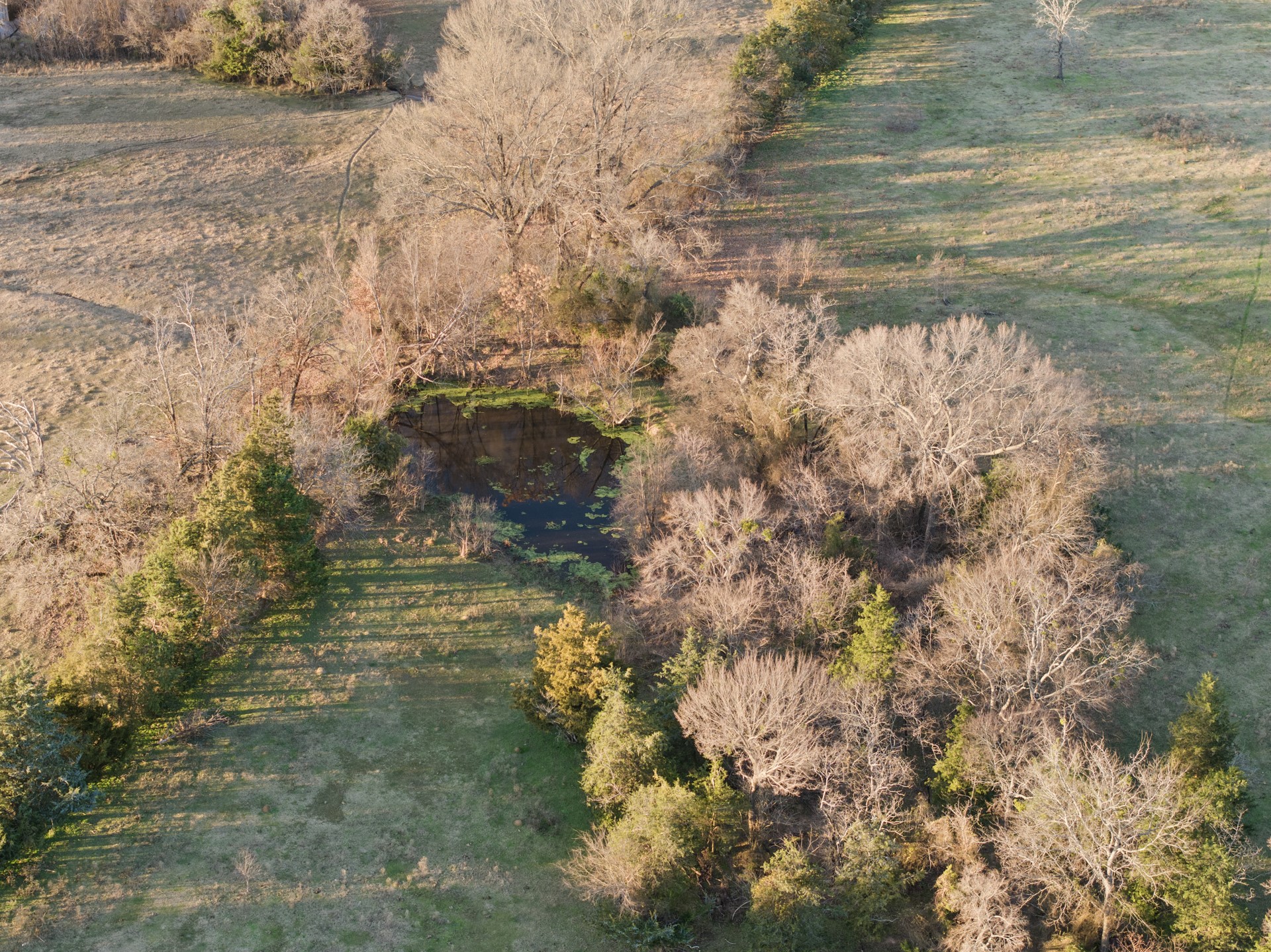 TBD County Road 1468