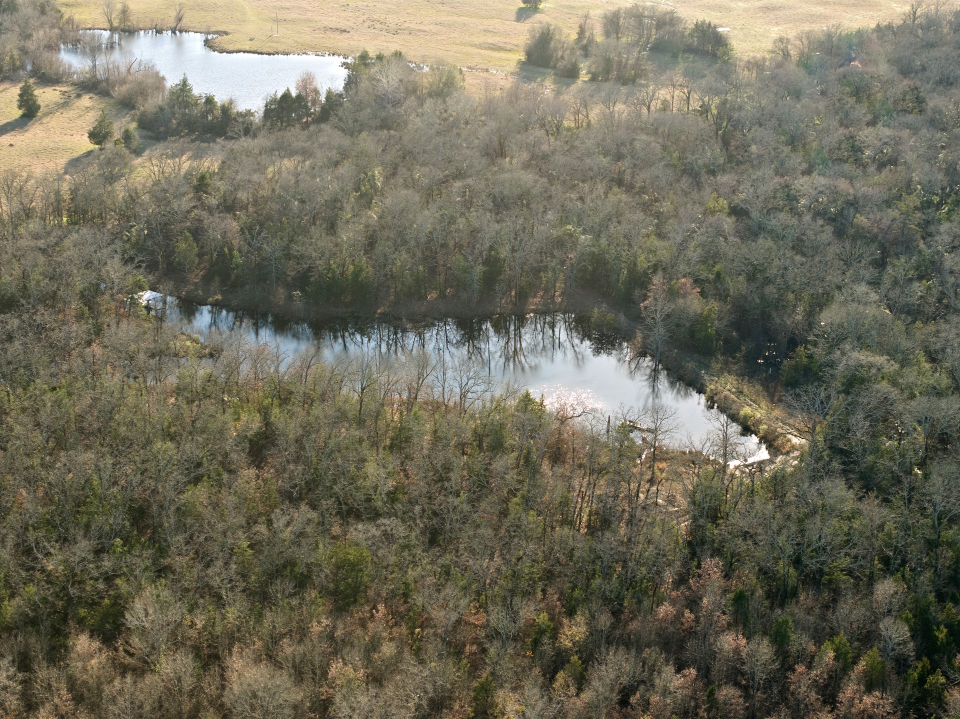 TBD County Road 1468