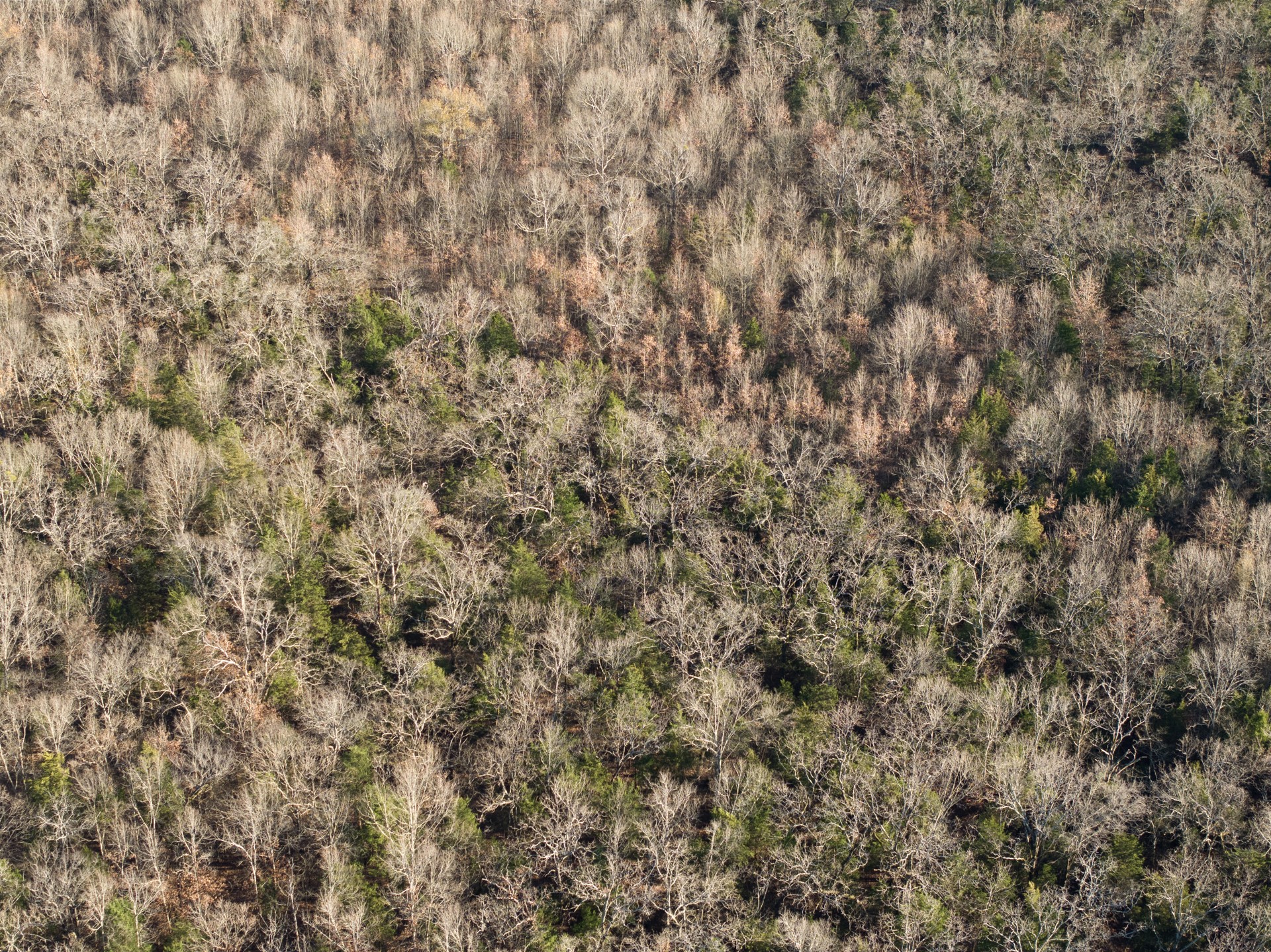 TBD County Road 1468