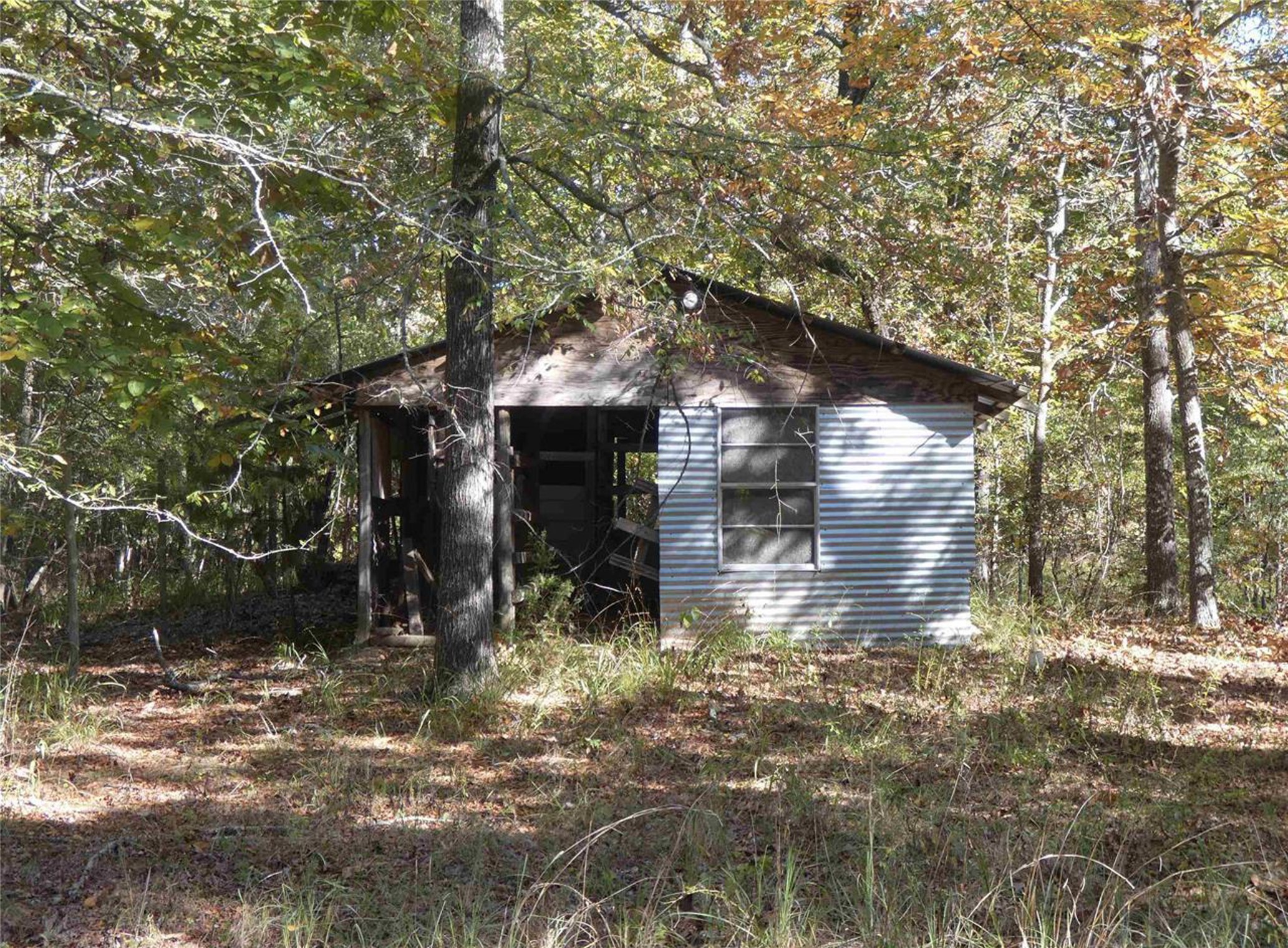 1637 County Road 1362