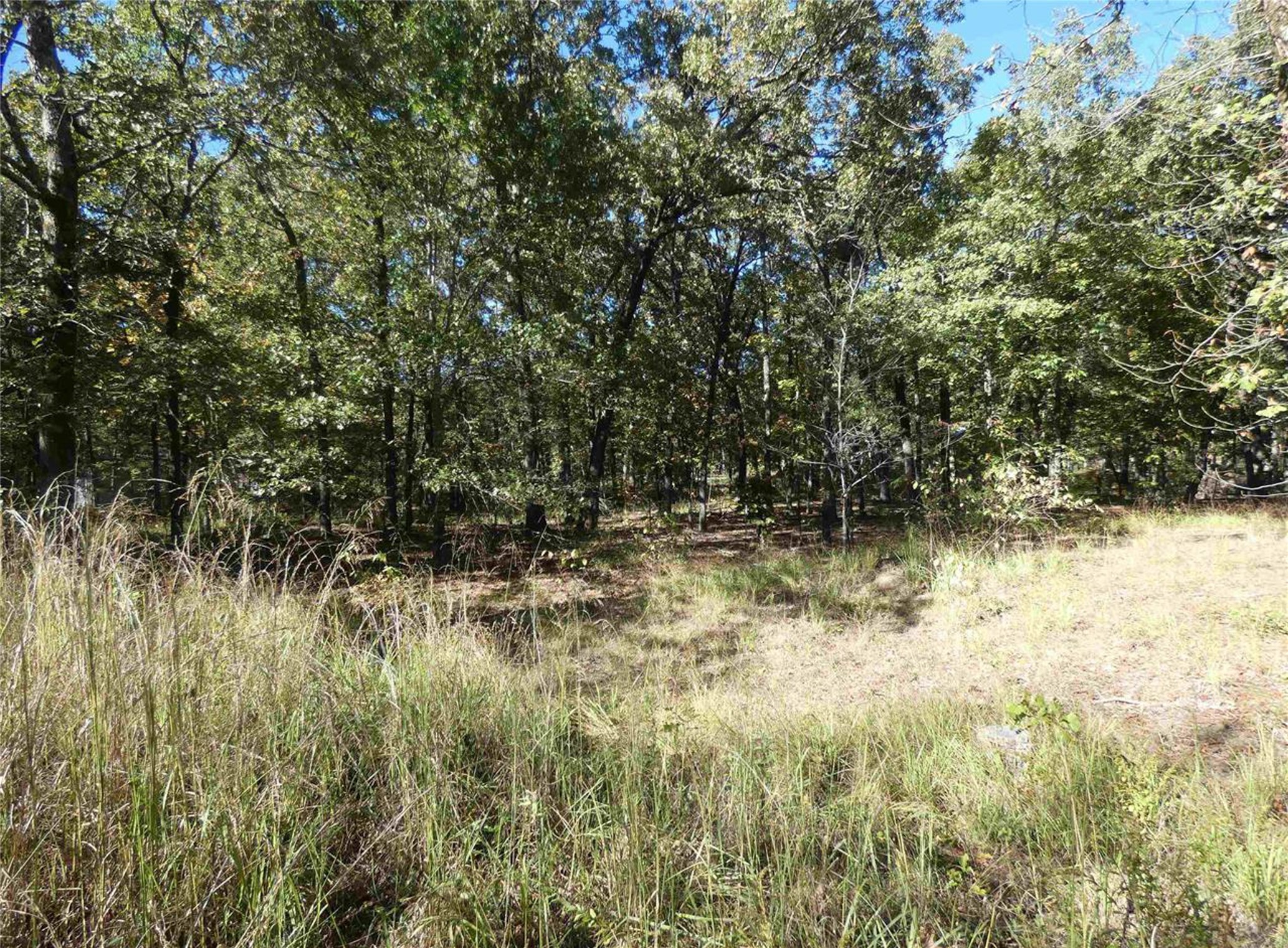 1637 County Road 1362