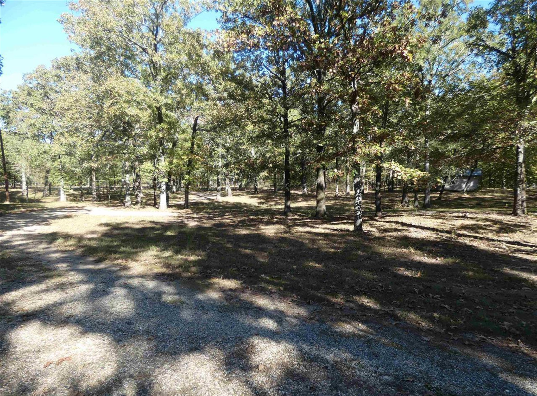 1637 County Road 1362