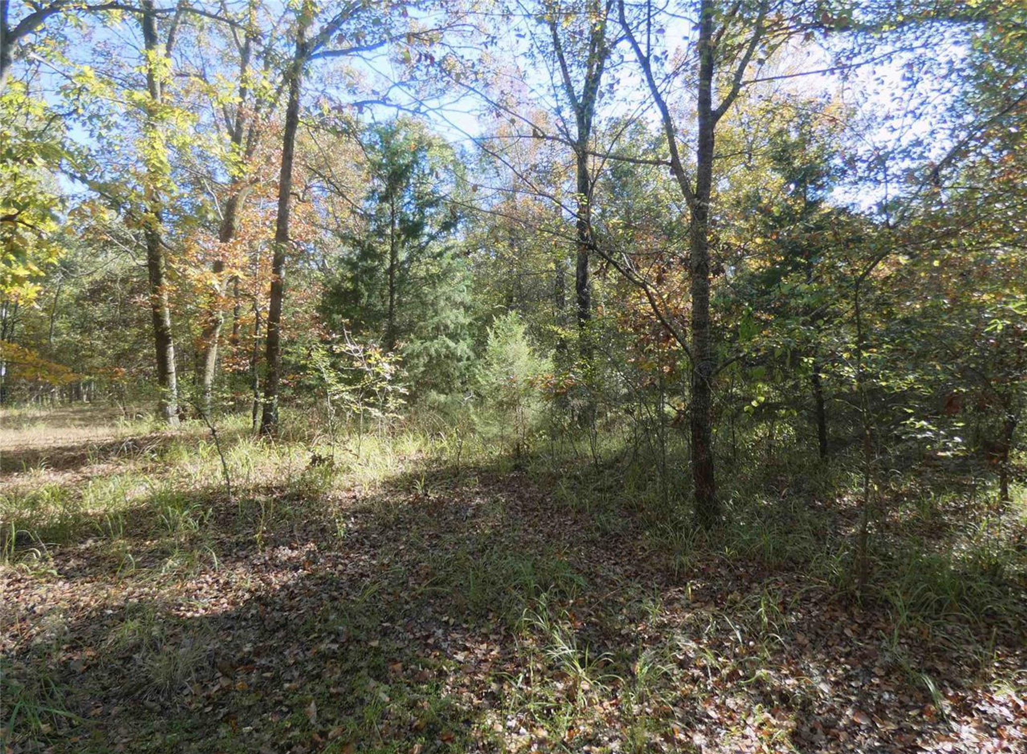 1637 County Road 1362