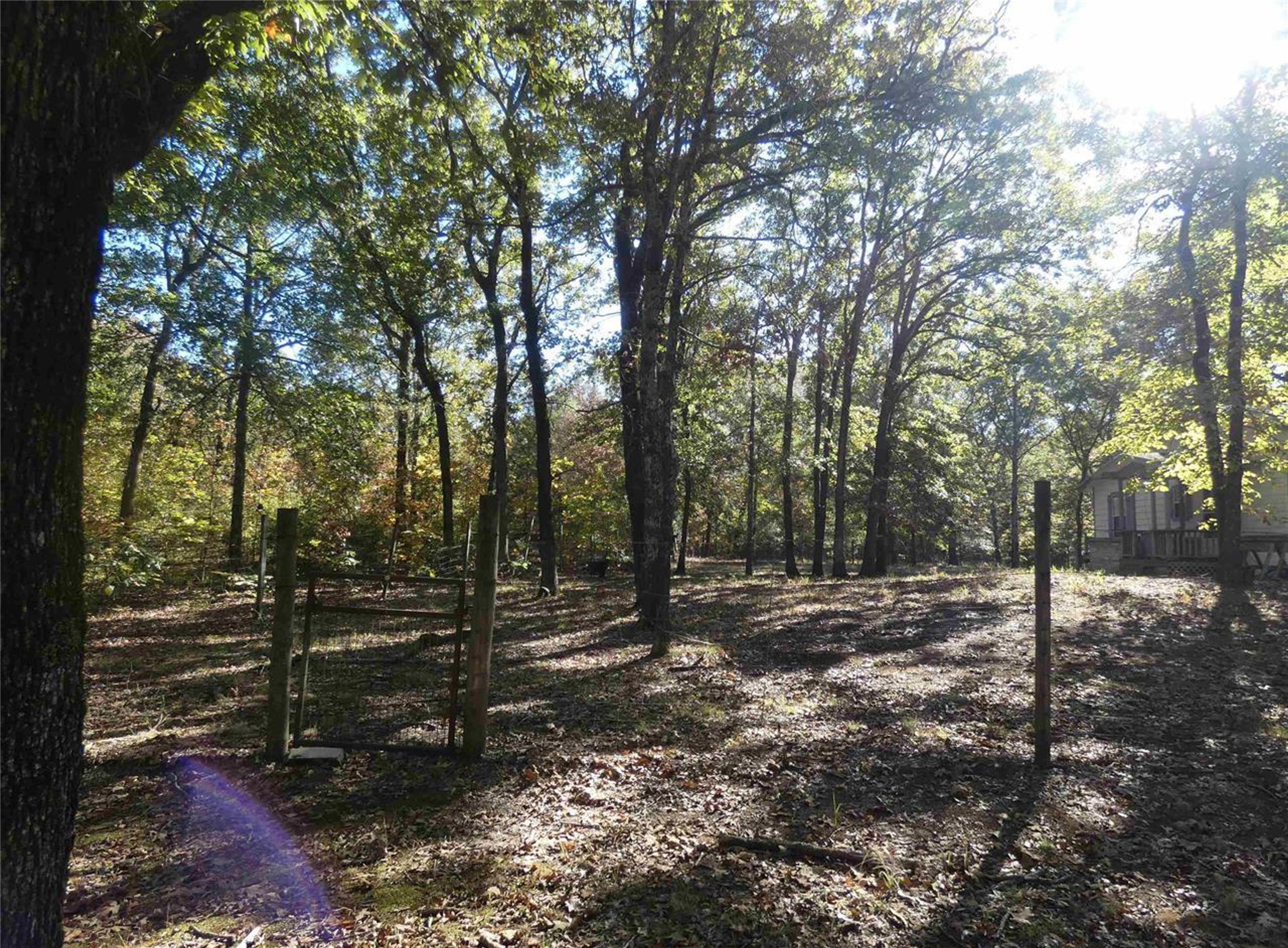 1637 County Road 1362