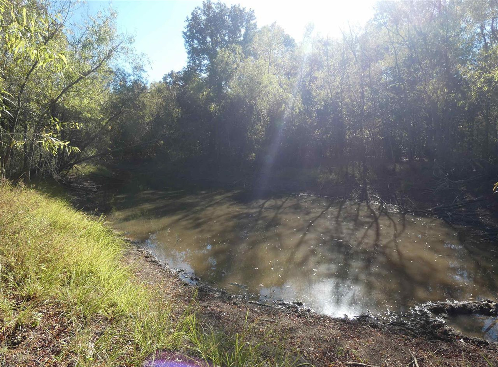 1637 County Road 1362