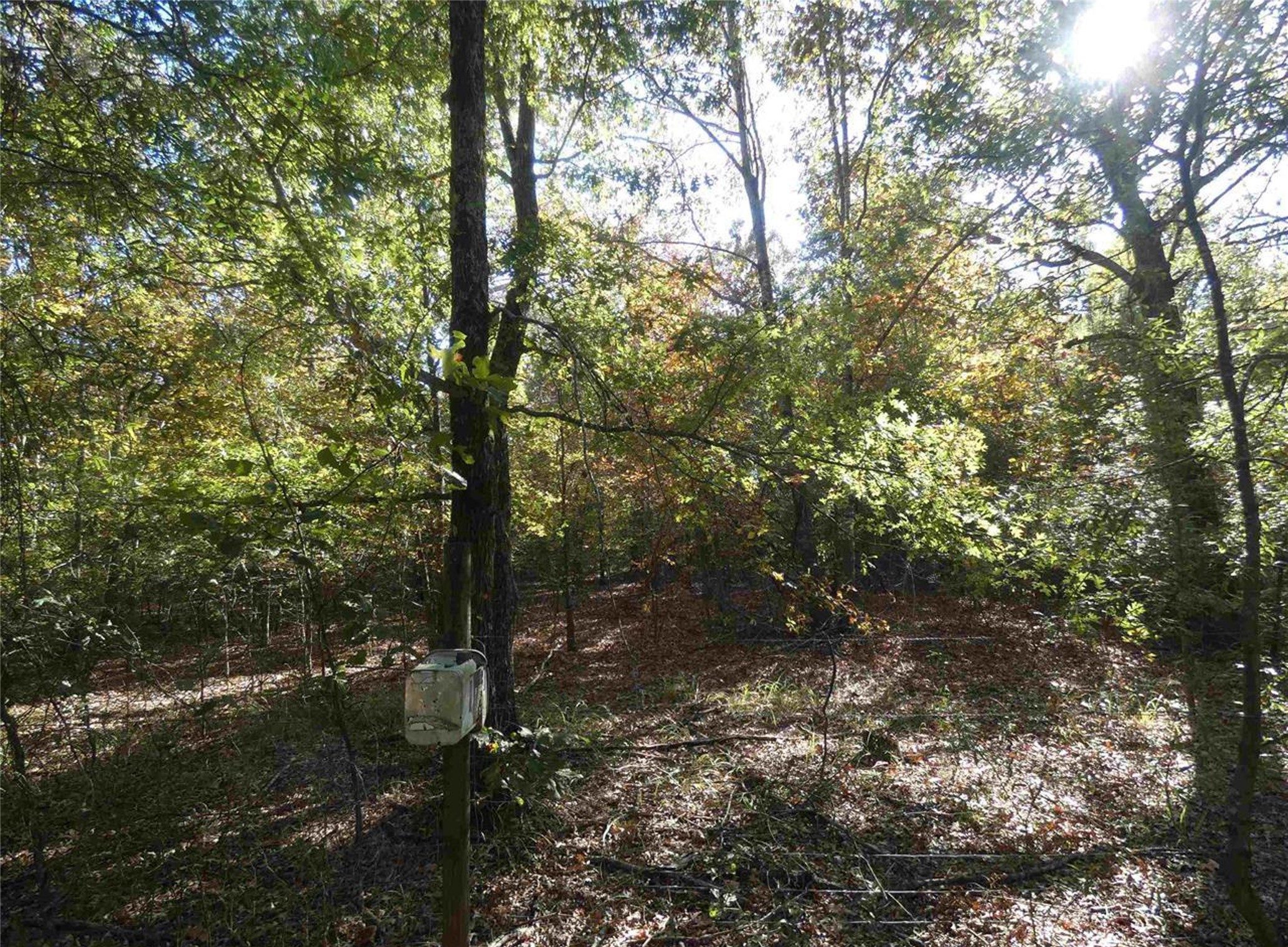 1637 County Road 1362