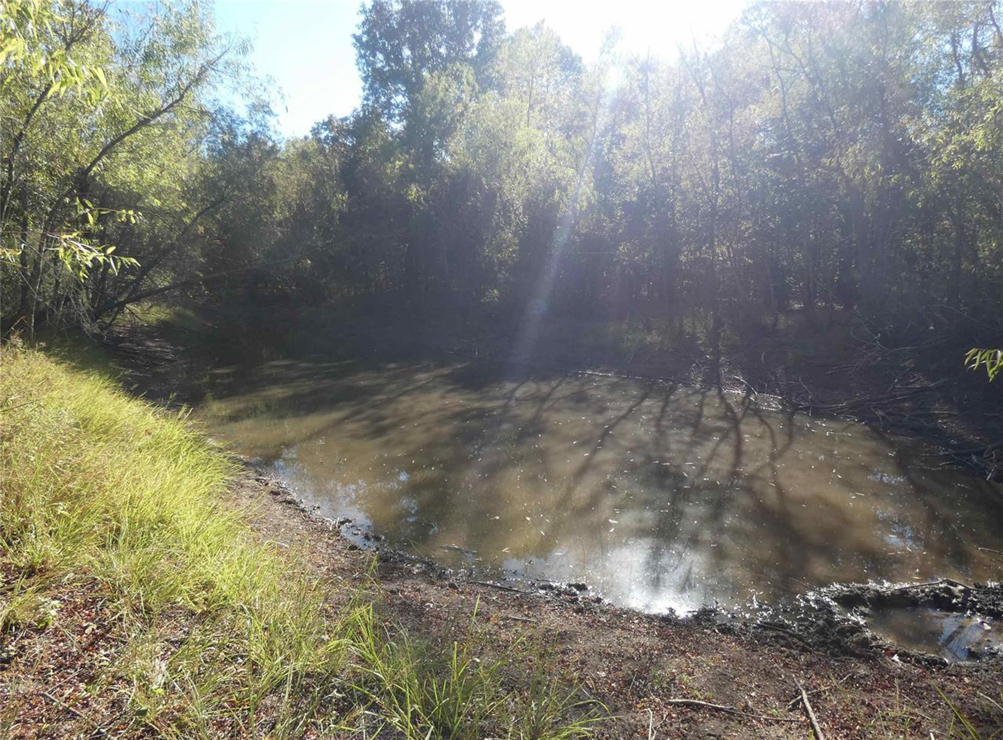 1637 County Road 1362