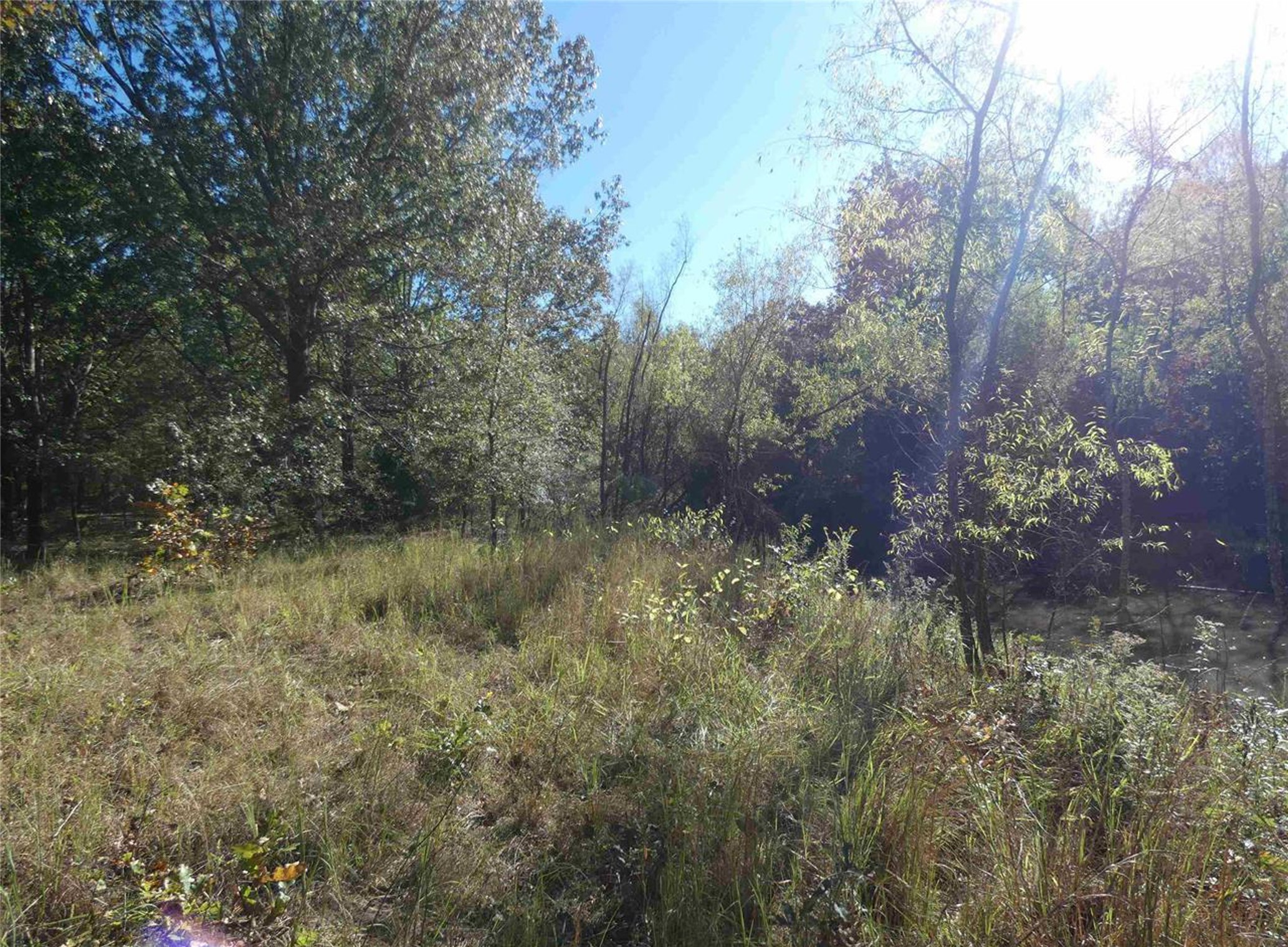 1637 County Road 1362