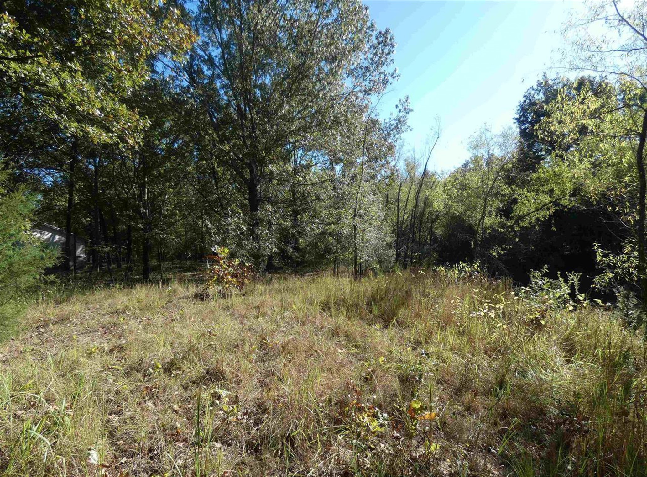 1637 County Road 1362