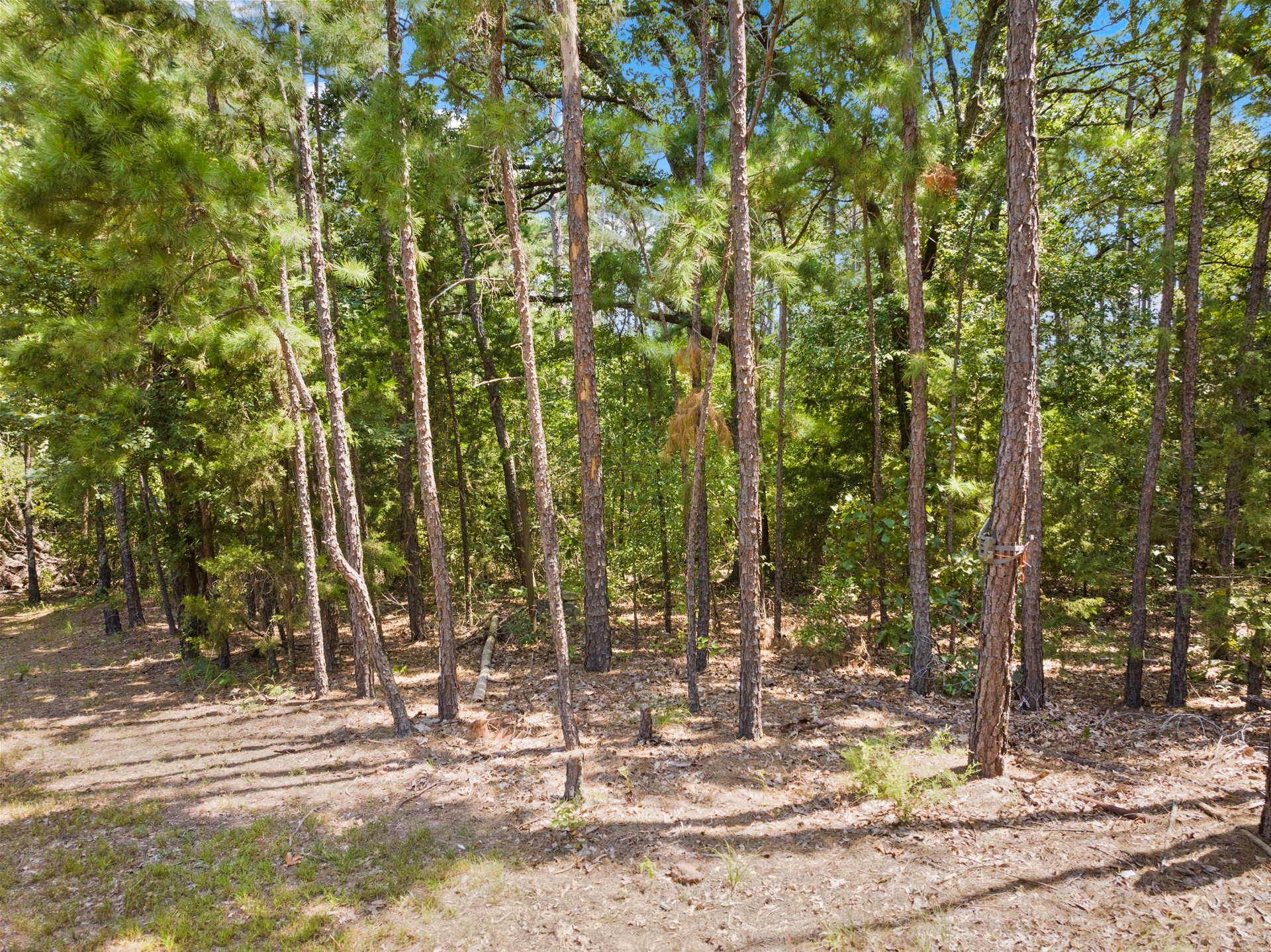 1114 County Road 3430