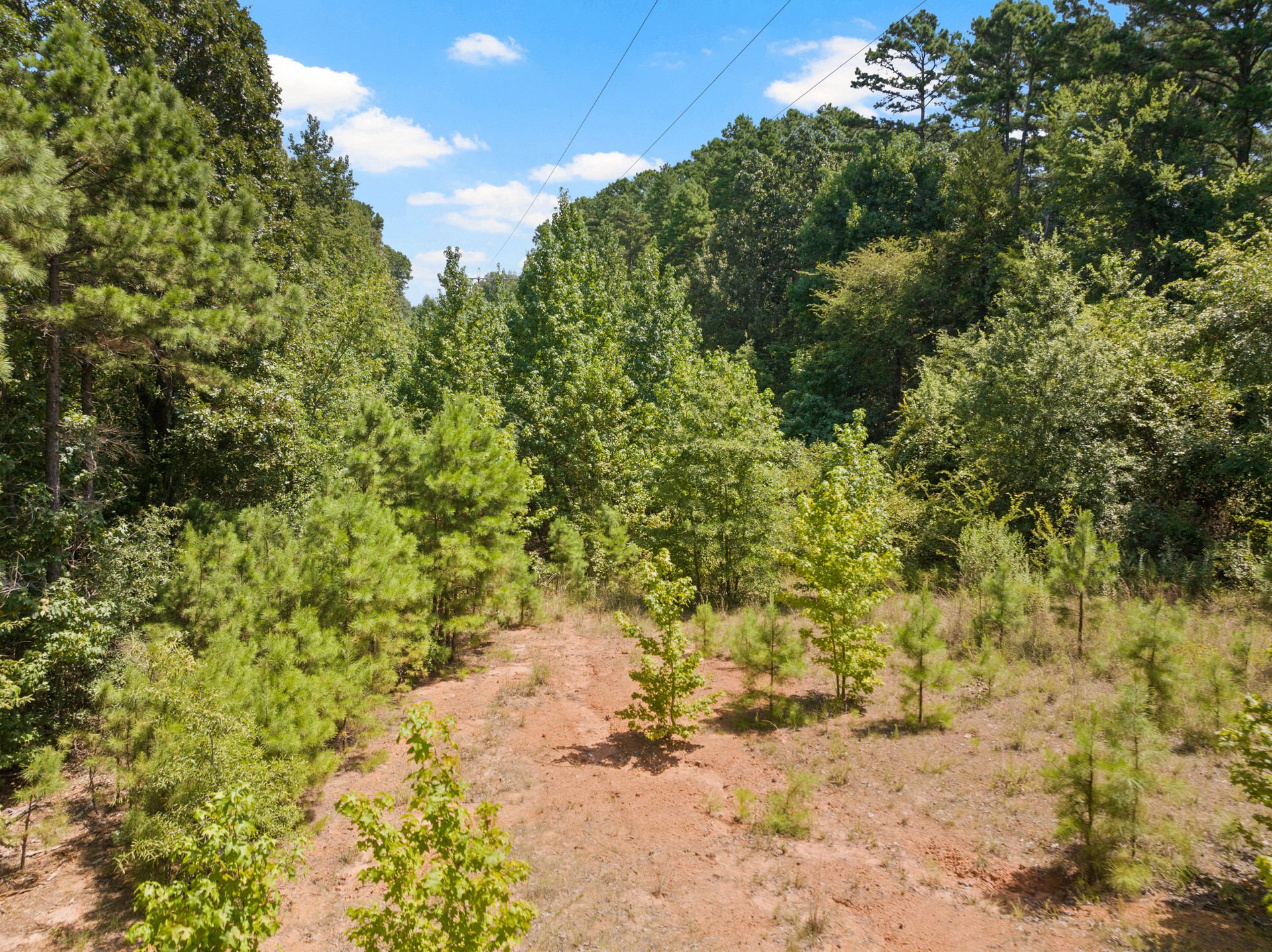 1114 County Road 3430